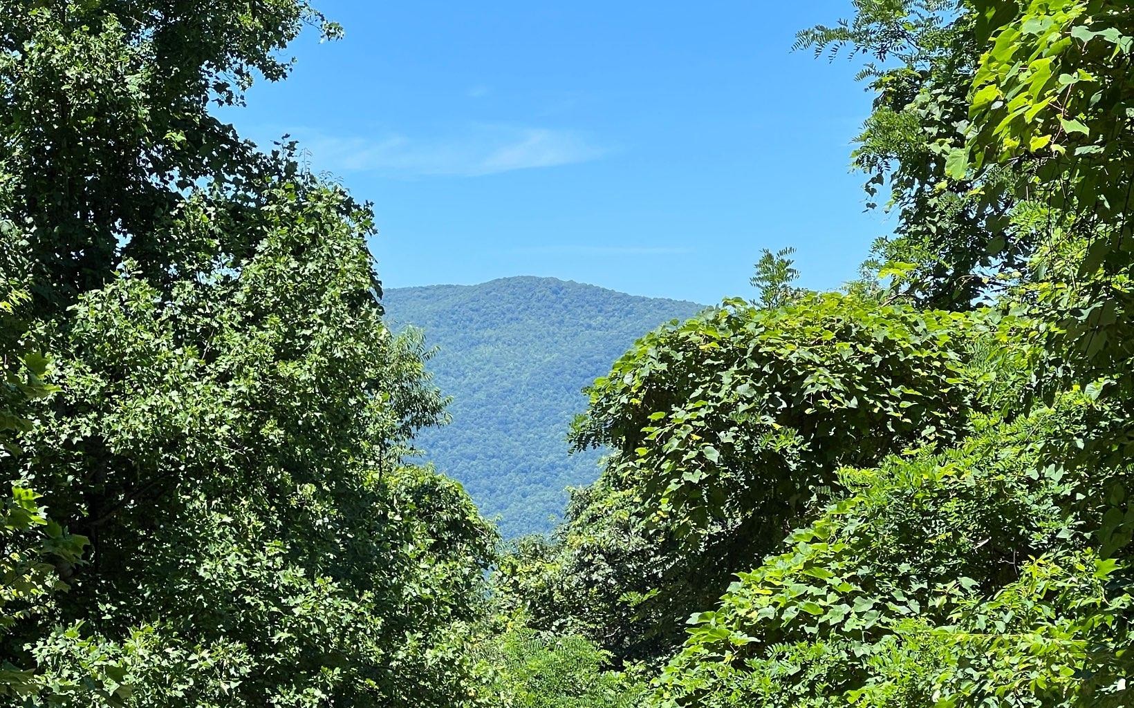 101ac Lori'S Mountain, Hayesville, North Carolina, 28904, United States, ,Residential,For Sale,101ac Lori'S Mountain,1304629