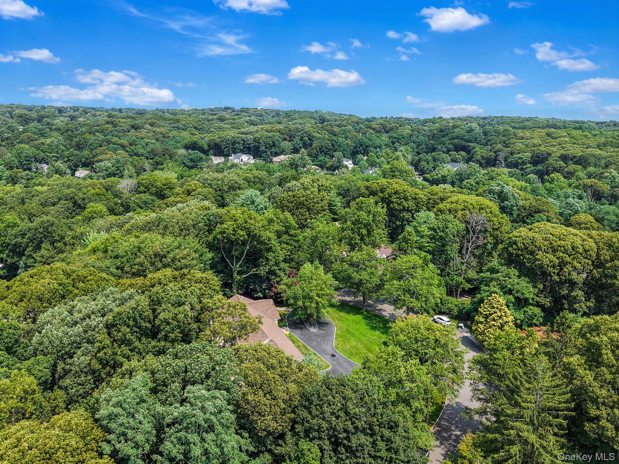  10 Williamsburg Drive, Northport, NY, 11768 - 物件實景