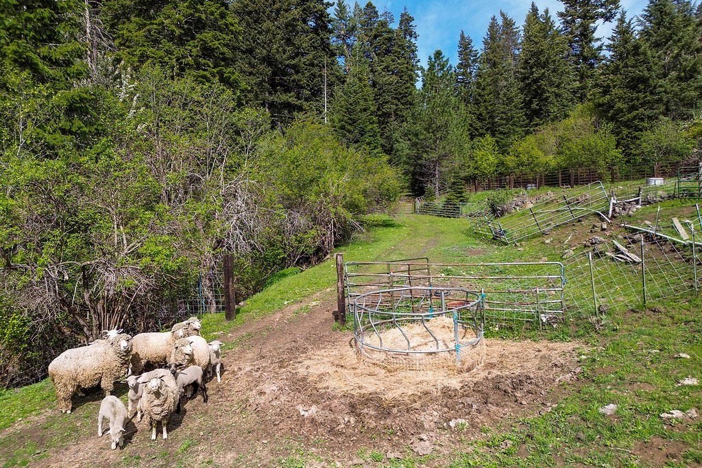 Riggins, Idaho, 83549, United States, 2 Bedrooms Bedrooms, ,1 BathroomBathrooms,Residential,For Sale,1825339