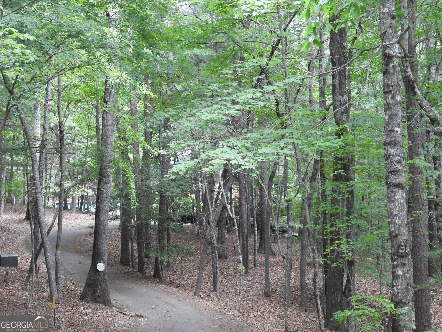 Morganton, Georgia, 30560, United States, 4 Bedrooms Bedrooms, ,4 BathroomsBathrooms,Residential,For Sale,1859074