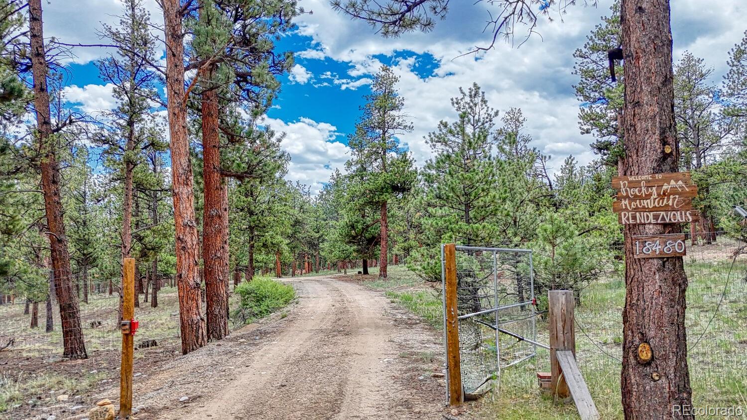 Buena Vista, Colorado, 81211, United States, 6 Bedrooms Bedrooms, ,5 BathroomsBathrooms,Residential,For Sale,1977574