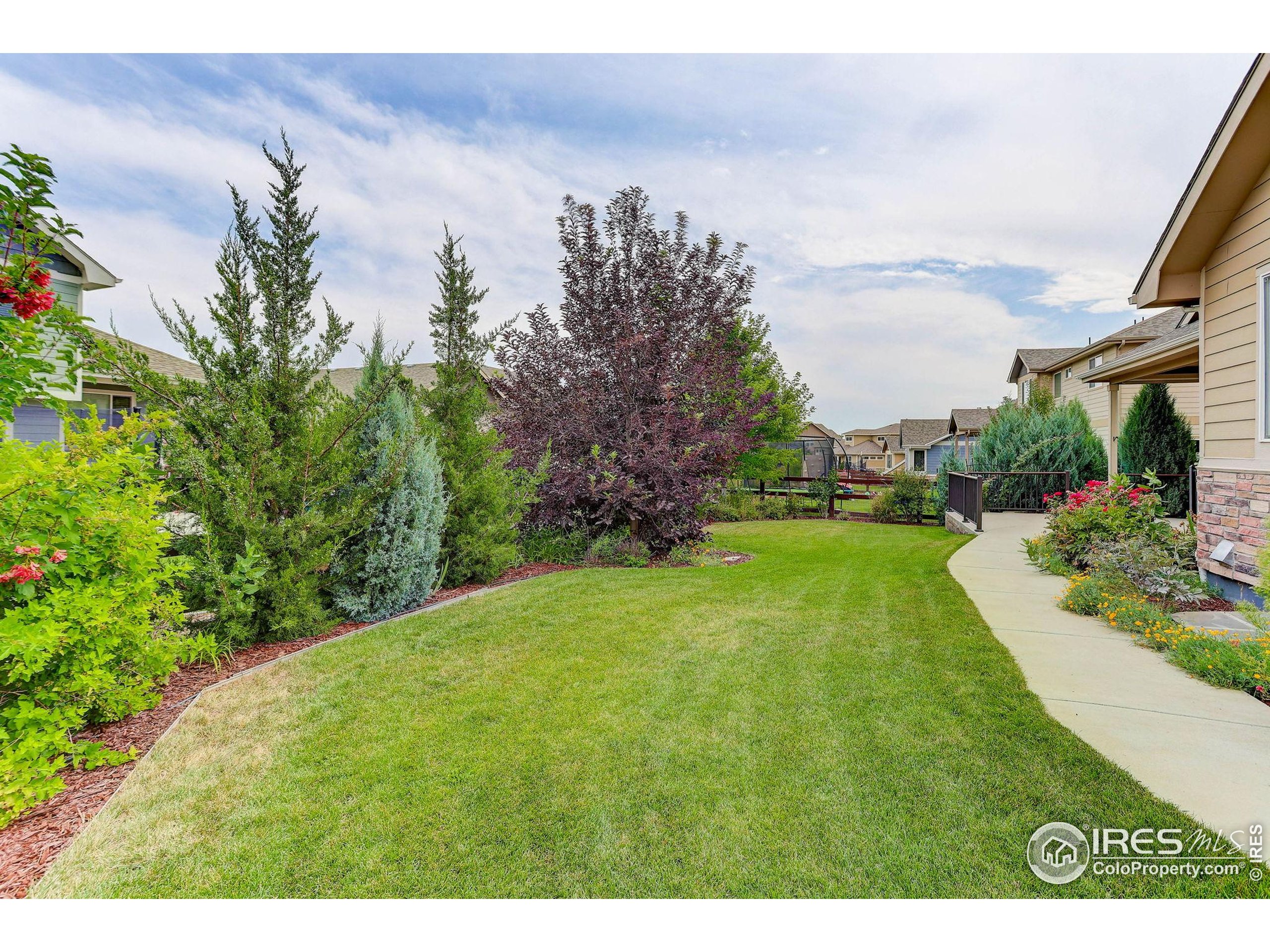Windsor, Colorado, 80550, United States, 3 Bedrooms Bedrooms, ,2 BathroomsBathrooms,Residential,For Sale,1910992