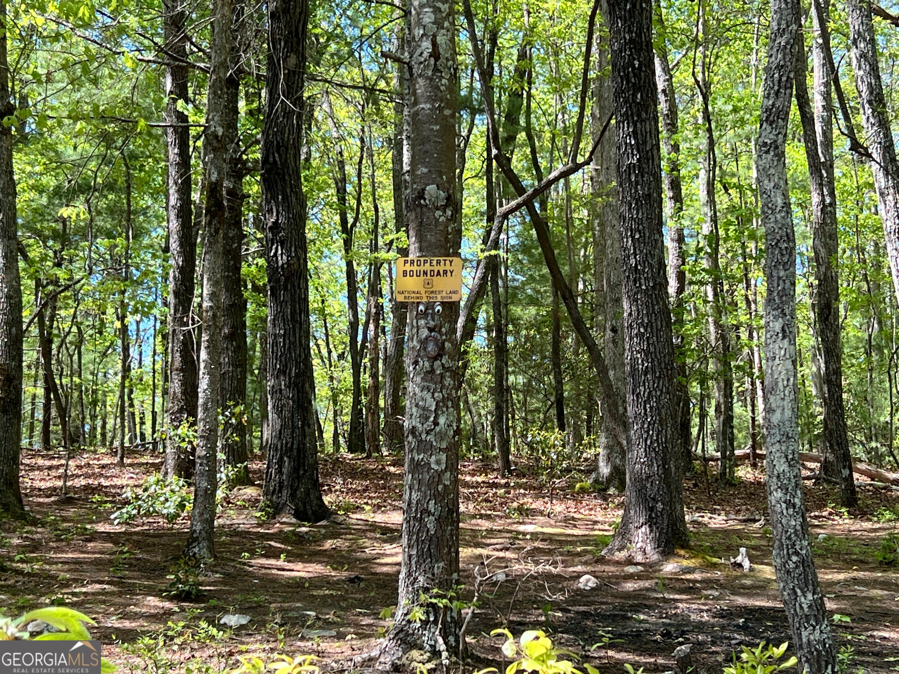 Ellijay, Georgia, 30536, United States, 2 Bedrooms Bedrooms, ,3 BathroomsBathrooms,Residential,For Sale,2035001
