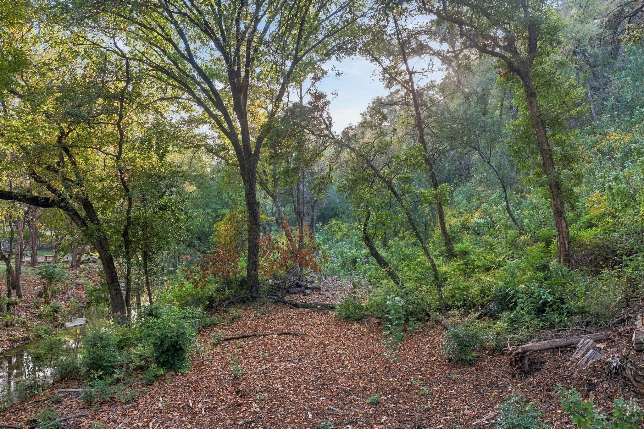  Private acreage in The Estates of Barton Creek - 物件實景