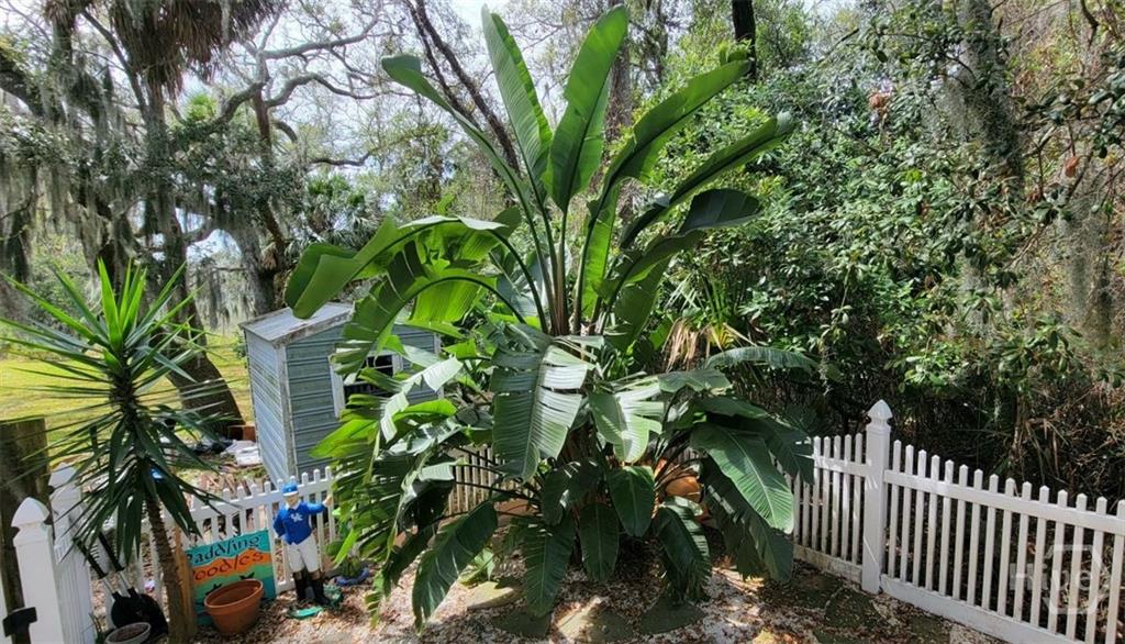 TYBEE ISLAND, Georgia, 31328, United States, 3 Bedrooms Bedrooms, ,2 BathroomsBathrooms,Residential,For Sale,1937482