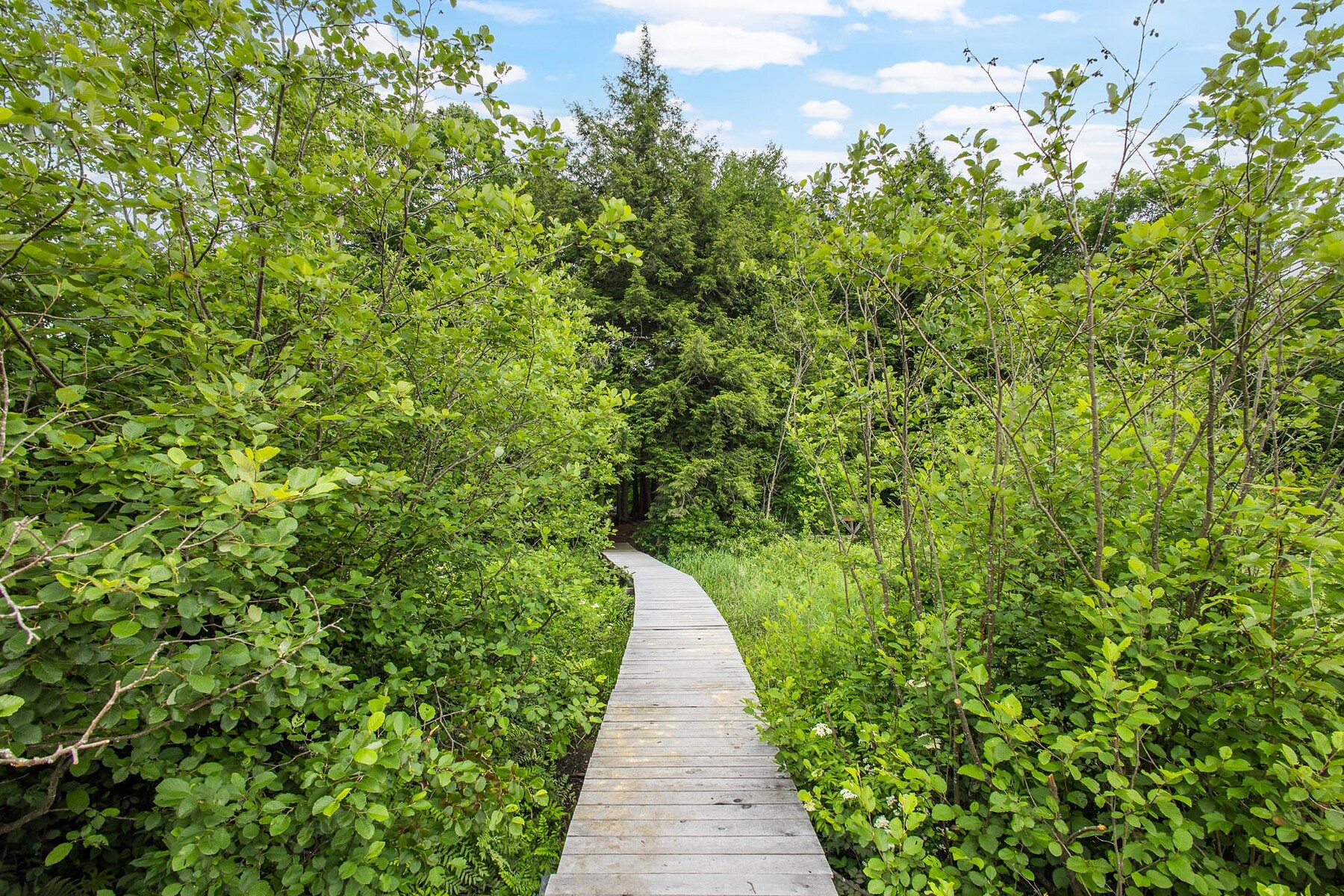  Bolton-Est, Eastern Townships - 物件實景