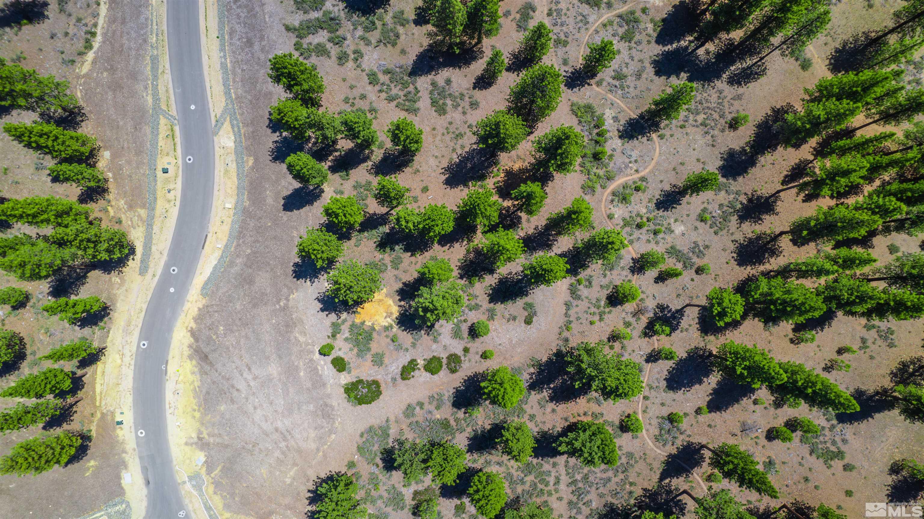 Carson City, Nevada, 89705, United States, ,Land,For Sale,1826407