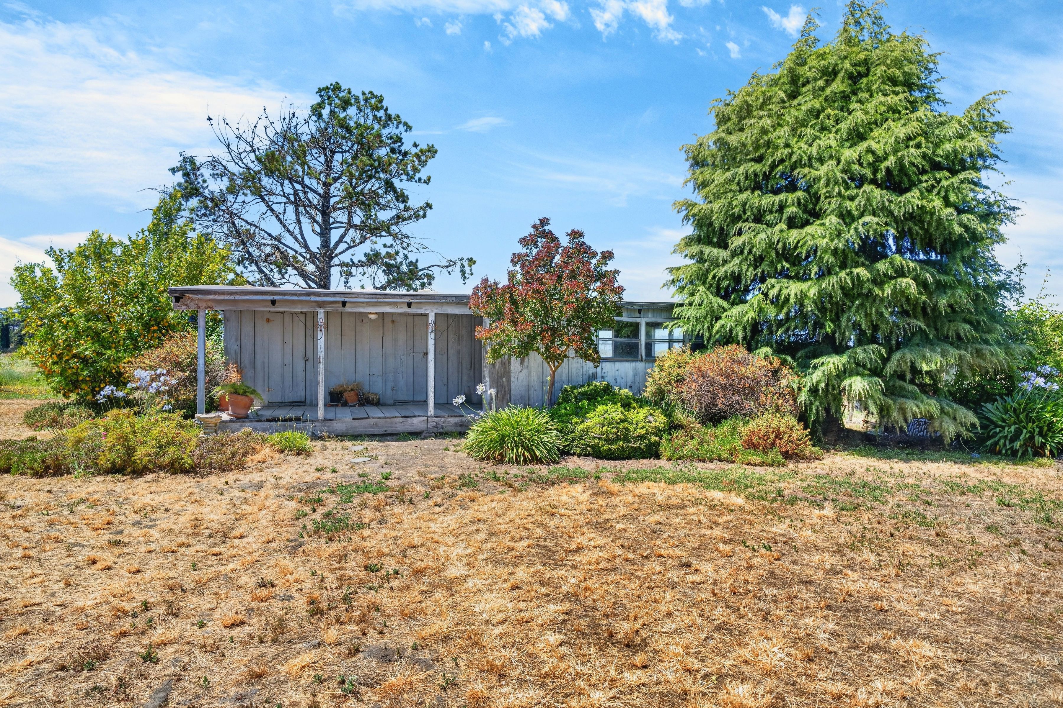 Sonoma Valley Vineyard Estate - 物件實景