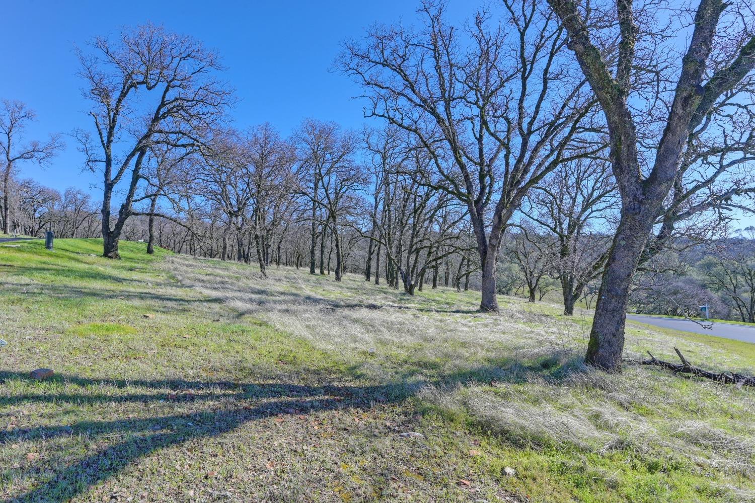 El Dorado Hills, California, 95762, United States, ,Land,For Sale,1709053