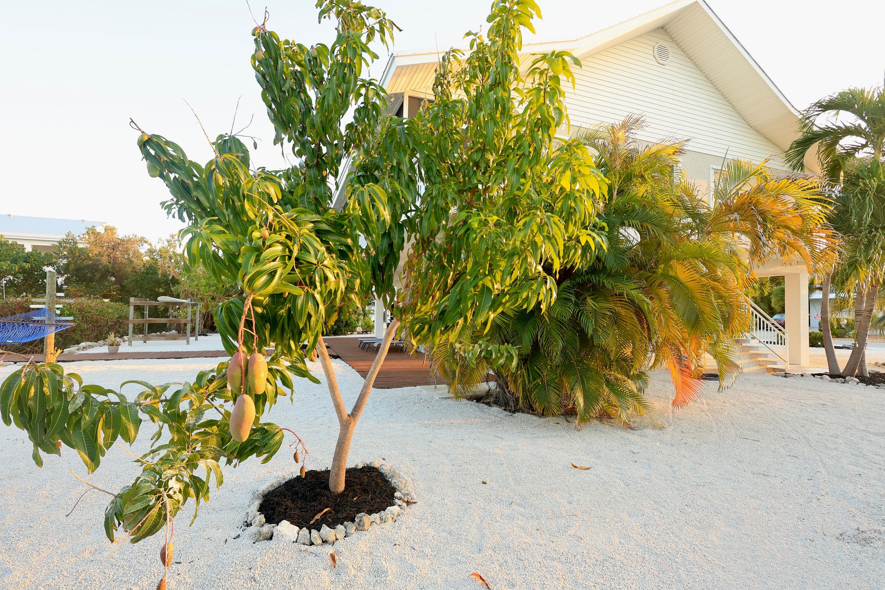 MARATHON, Florida, 33050, United States, 3 Bedrooms Bedrooms, ,2 BathroomsBathrooms,Residential,For Sale,2002078