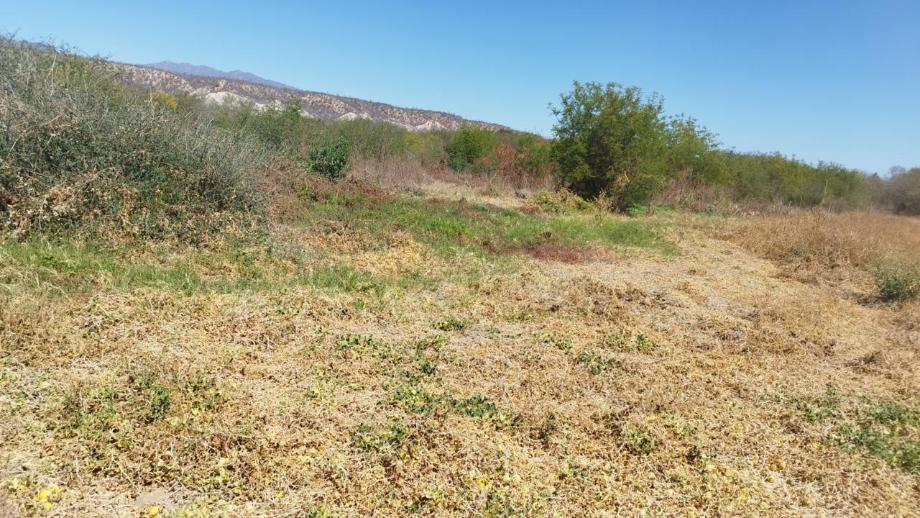 Matancitas, Baja California Sur, 23500, Mexico, 1 Bedroom Bedrooms, ,Residential,For Sale,1917738