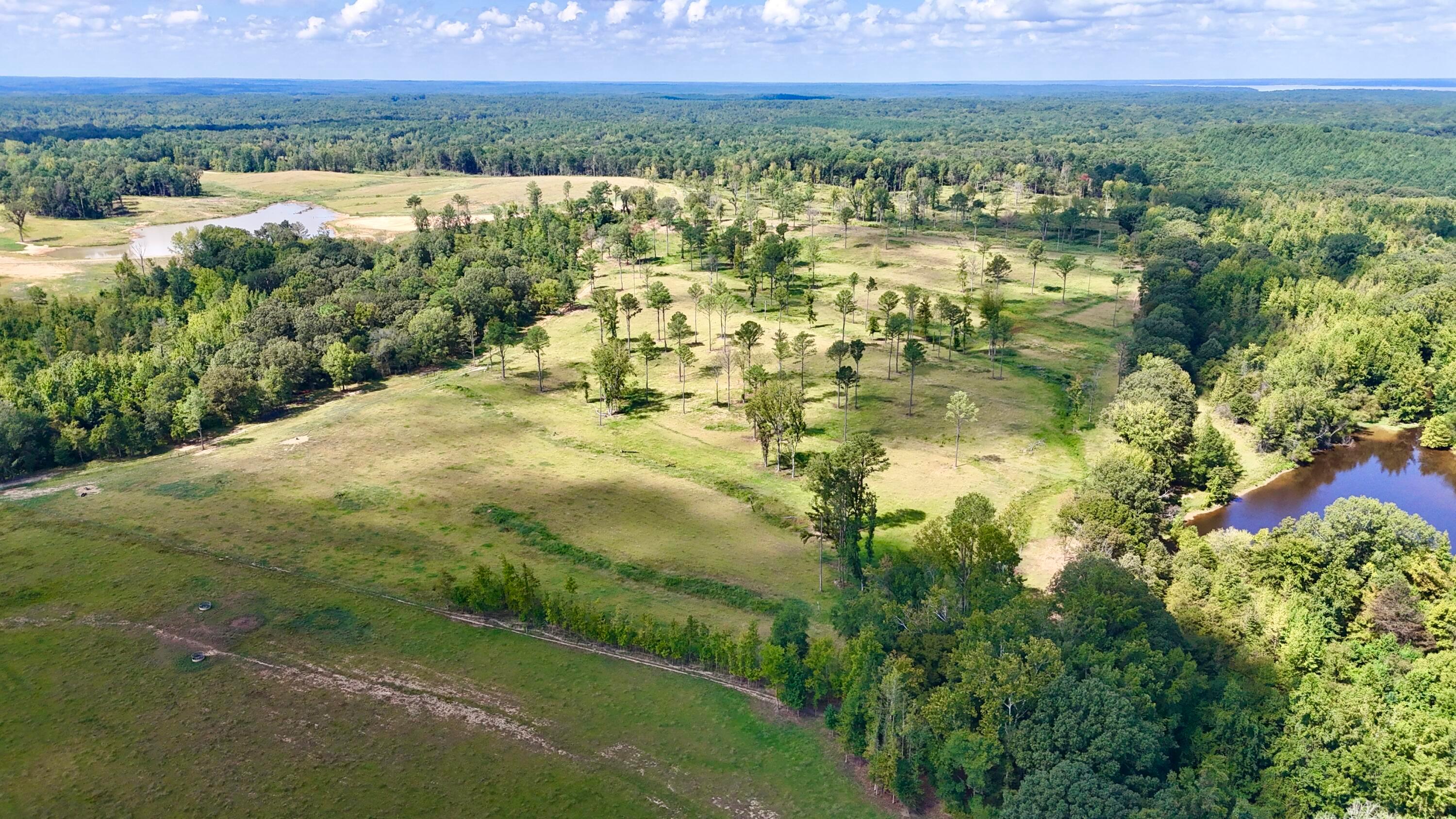 Oxford, Mississippi, 38655, United States, ,Residential,For Sale,1925084