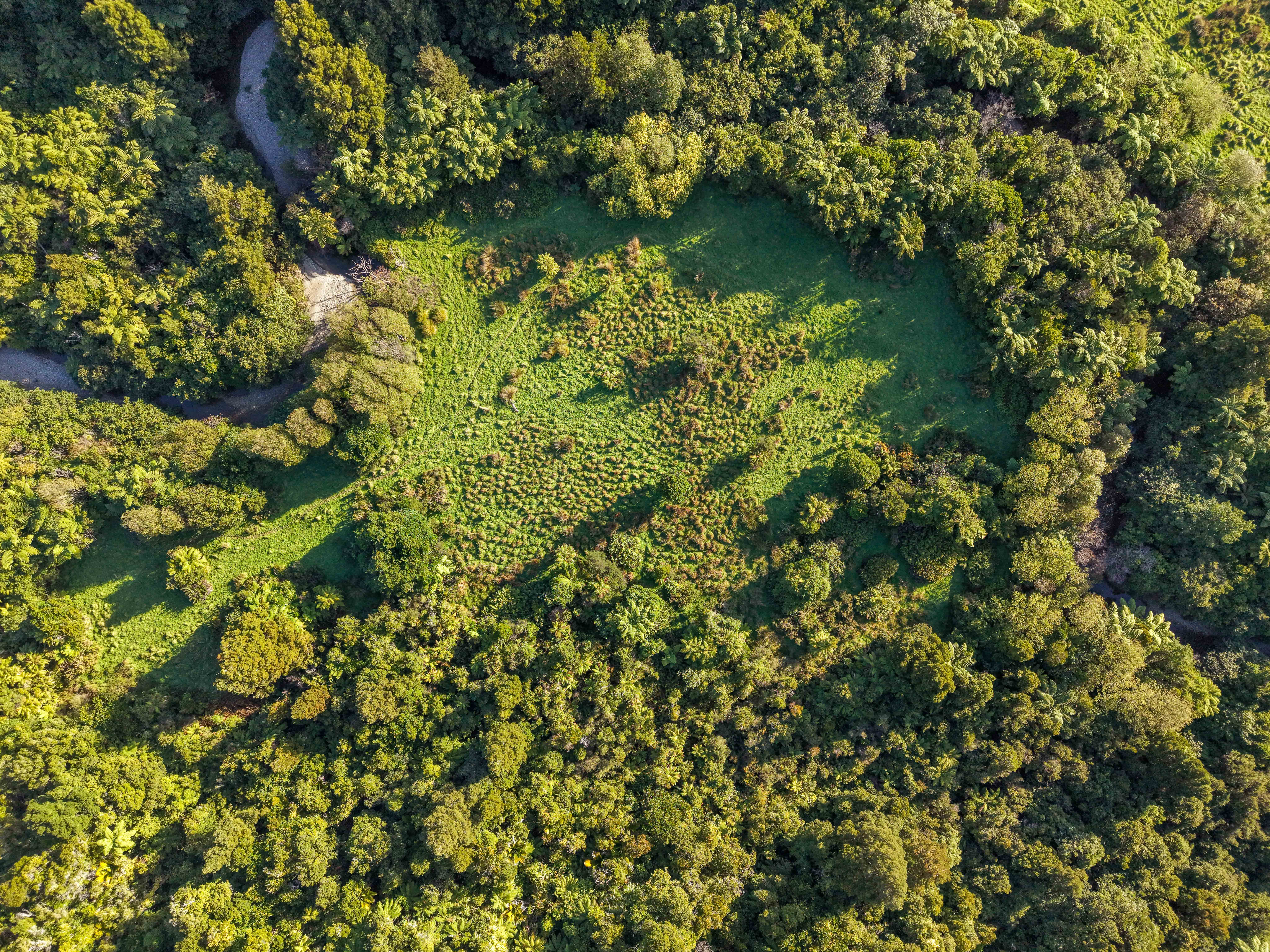  Ultimate West Coast Escape - 物件實景