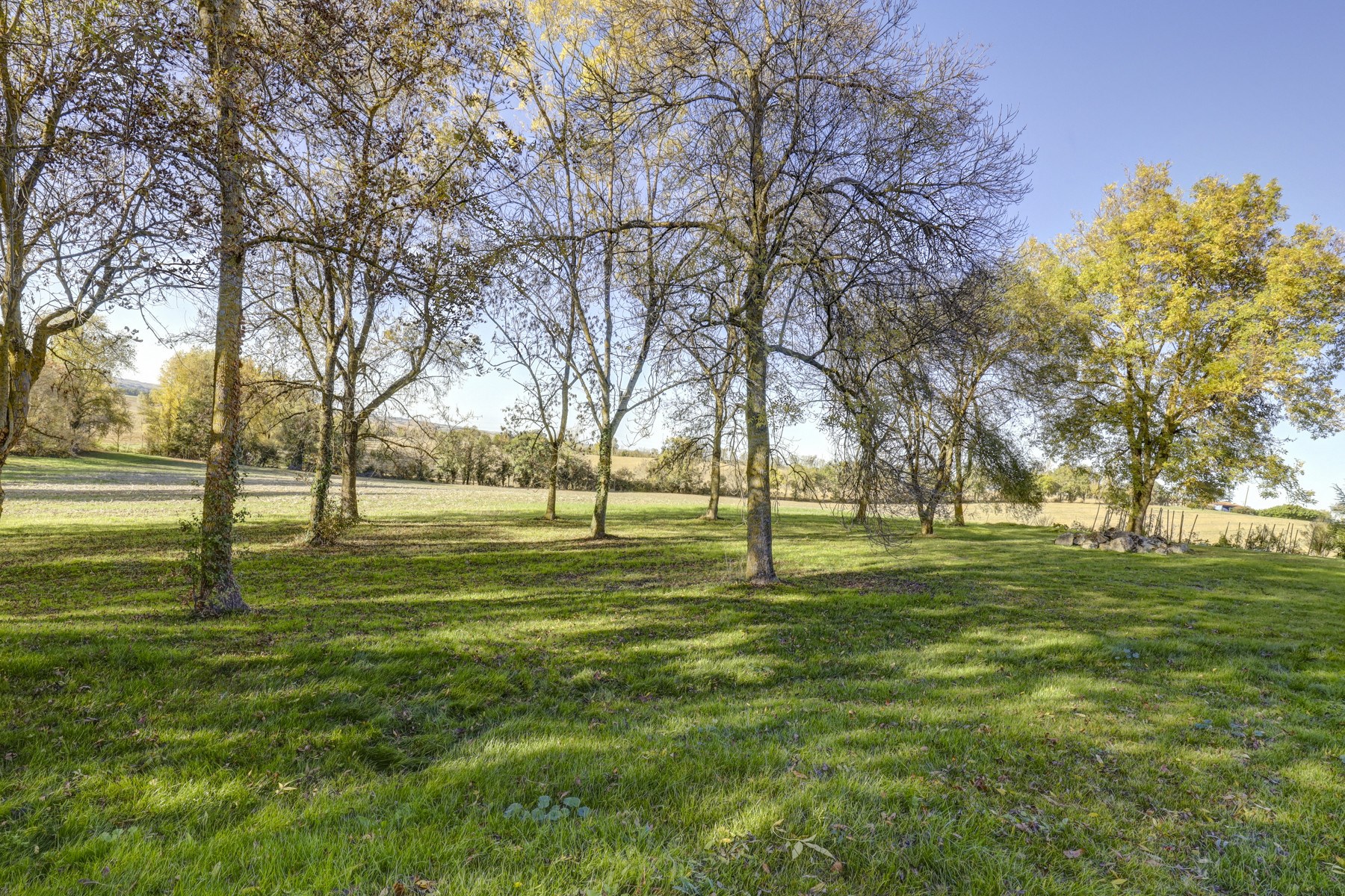  Quiet family home 30 minutes from Toulouse Blagnac - 物件實景