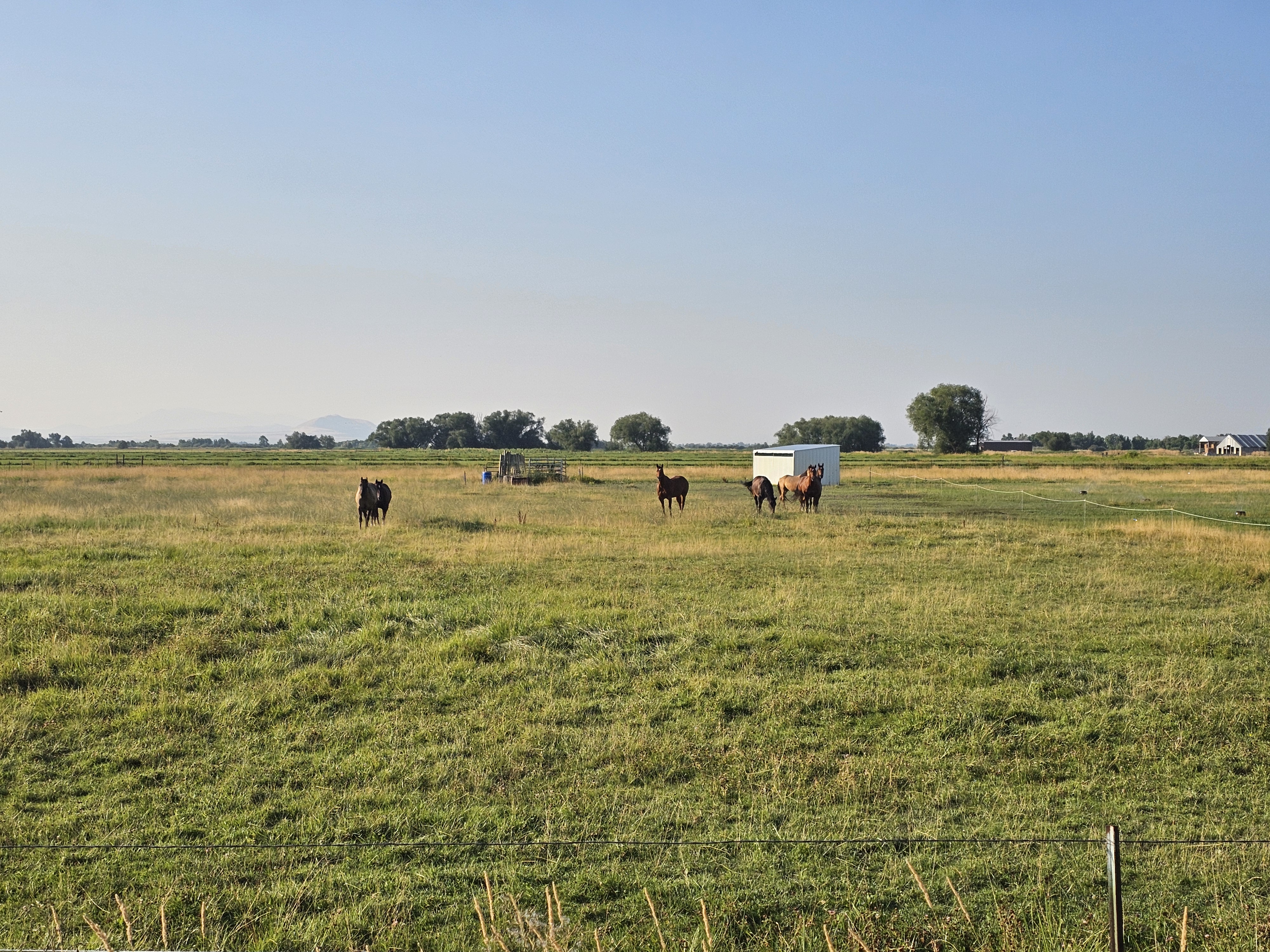 Logan, Utah, 84321, United States, ,Land,For Sale,1910822