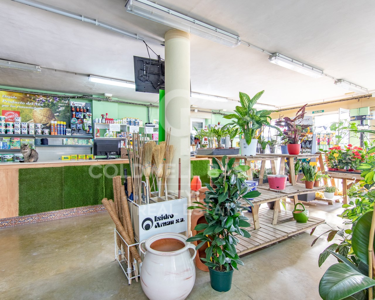 Carrer del Xoriguer Barcelona, Terrassa, Can Palet, Terrassa, Catalonia, 08224, ES, 6 Bedrooms Bedrooms, ,4 BathroomsBathrooms,Residential,For Sale,Carrer del Xoriguer Barcelona, Terrassa, Can Palet,1613953