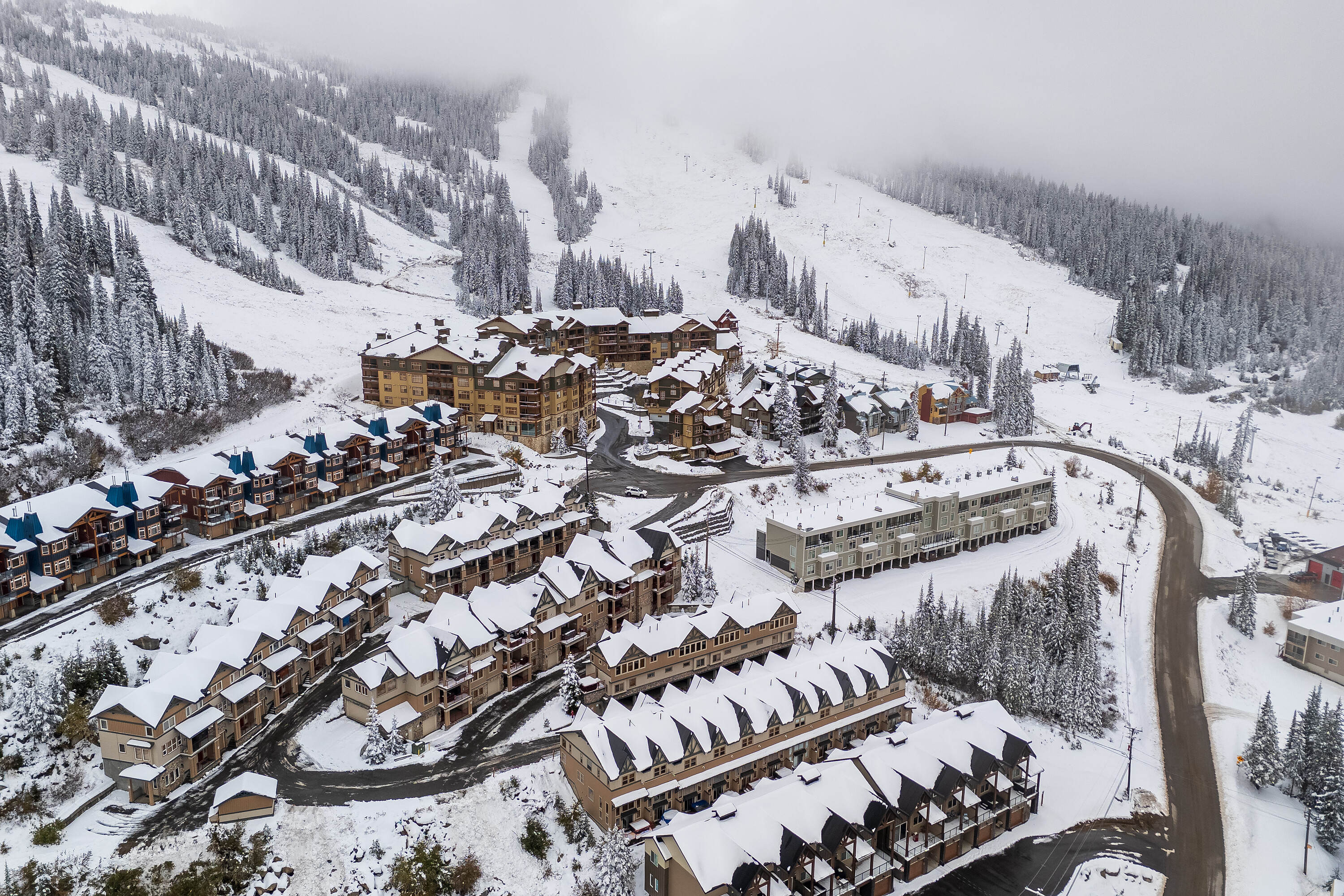  Tree Tops Chalet - 物件實景