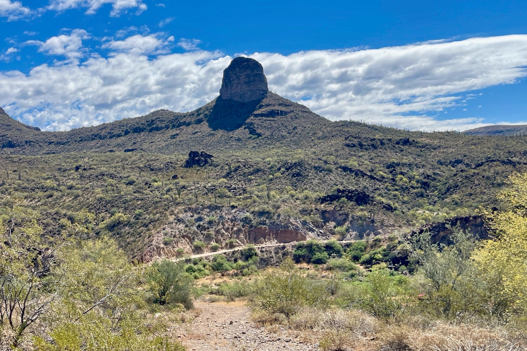  31900 S Tillys Trail¦Black Canyon City, AZ - 物件實景