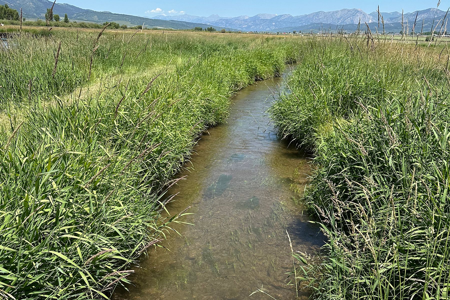  Private Salt River Access - 物件實景