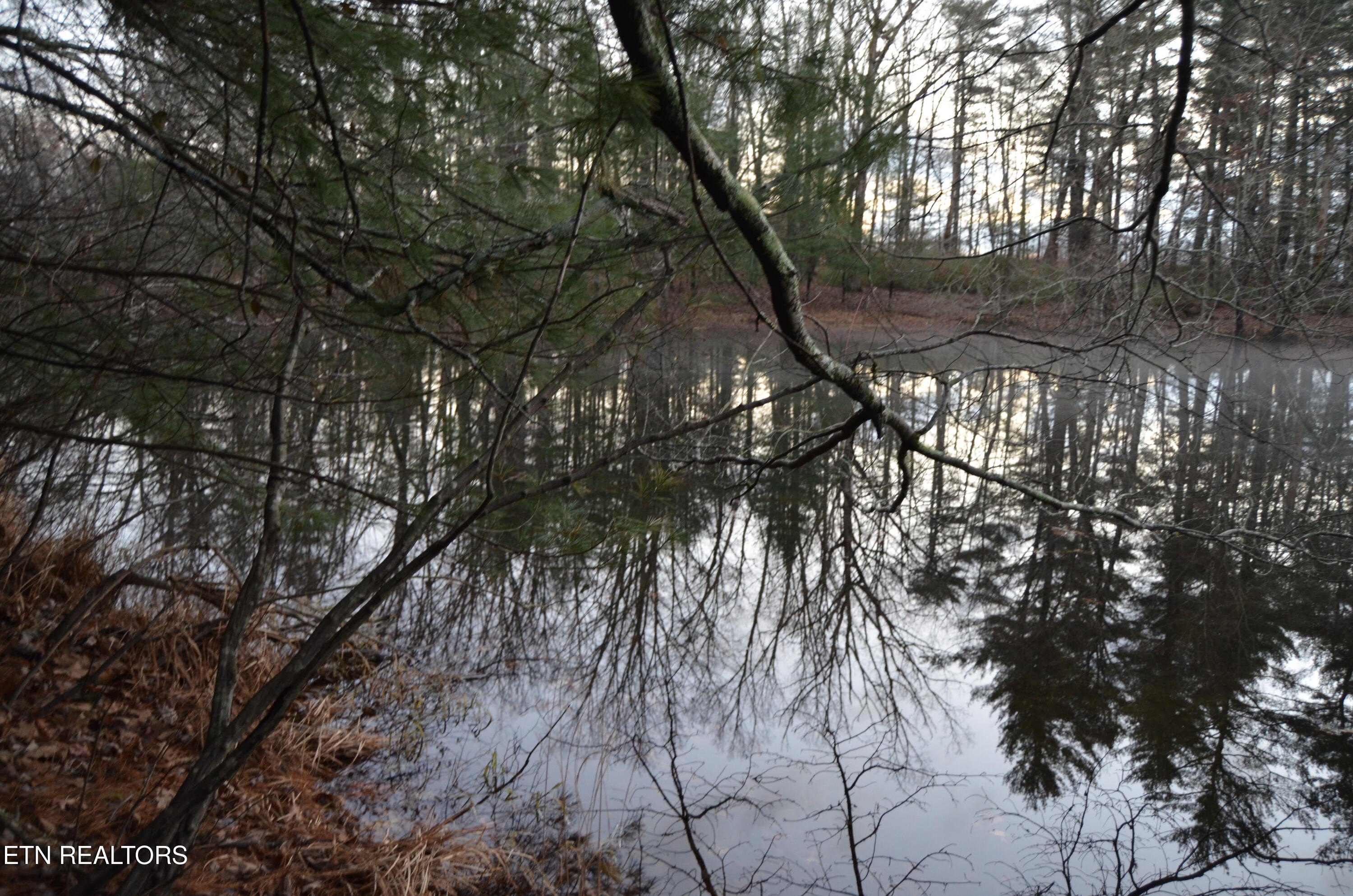 Crossville, Tennessee, 38555, United States, ,Land,For Sale,1983294