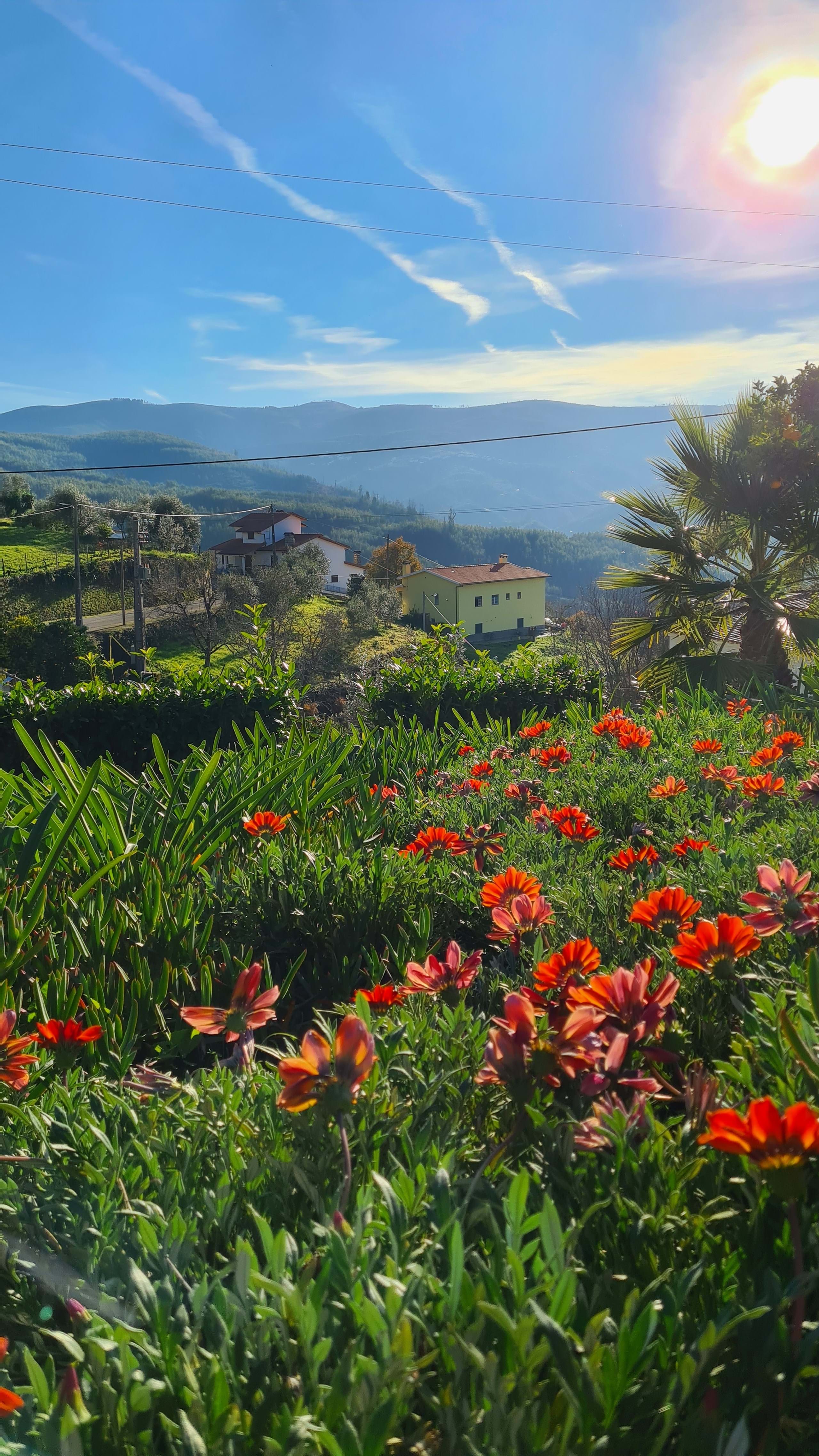 Arganil, Coimbra, 3305-050, PT, ,Residential,For Sale,1826895