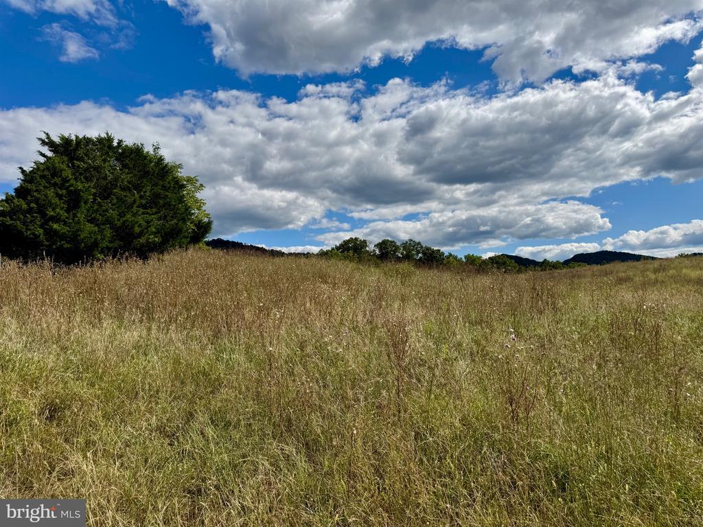 PETERSBURG, West Virginia, 26847, United States, ,Land,For Sale,1932257