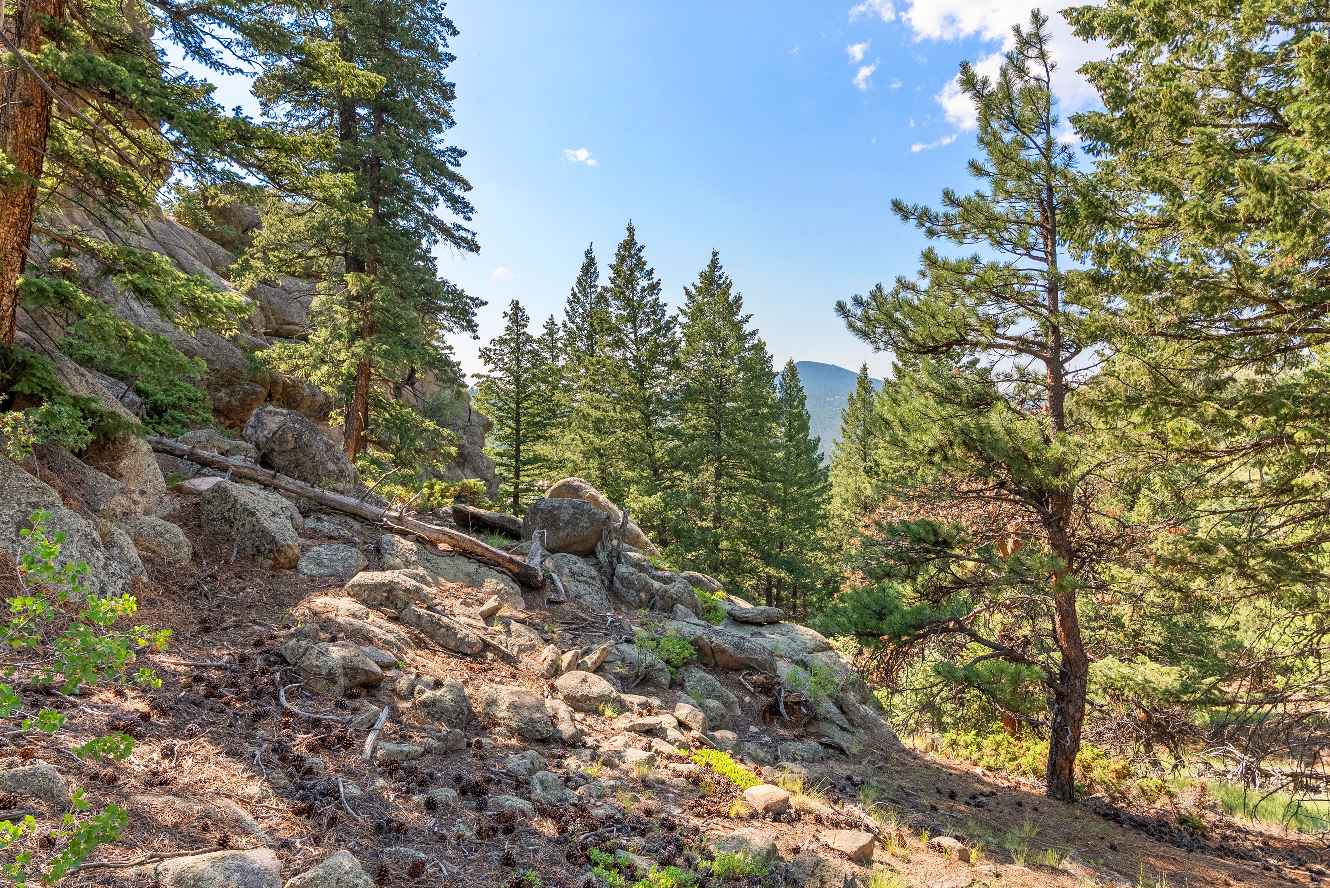  Acreage Available in Evergreen