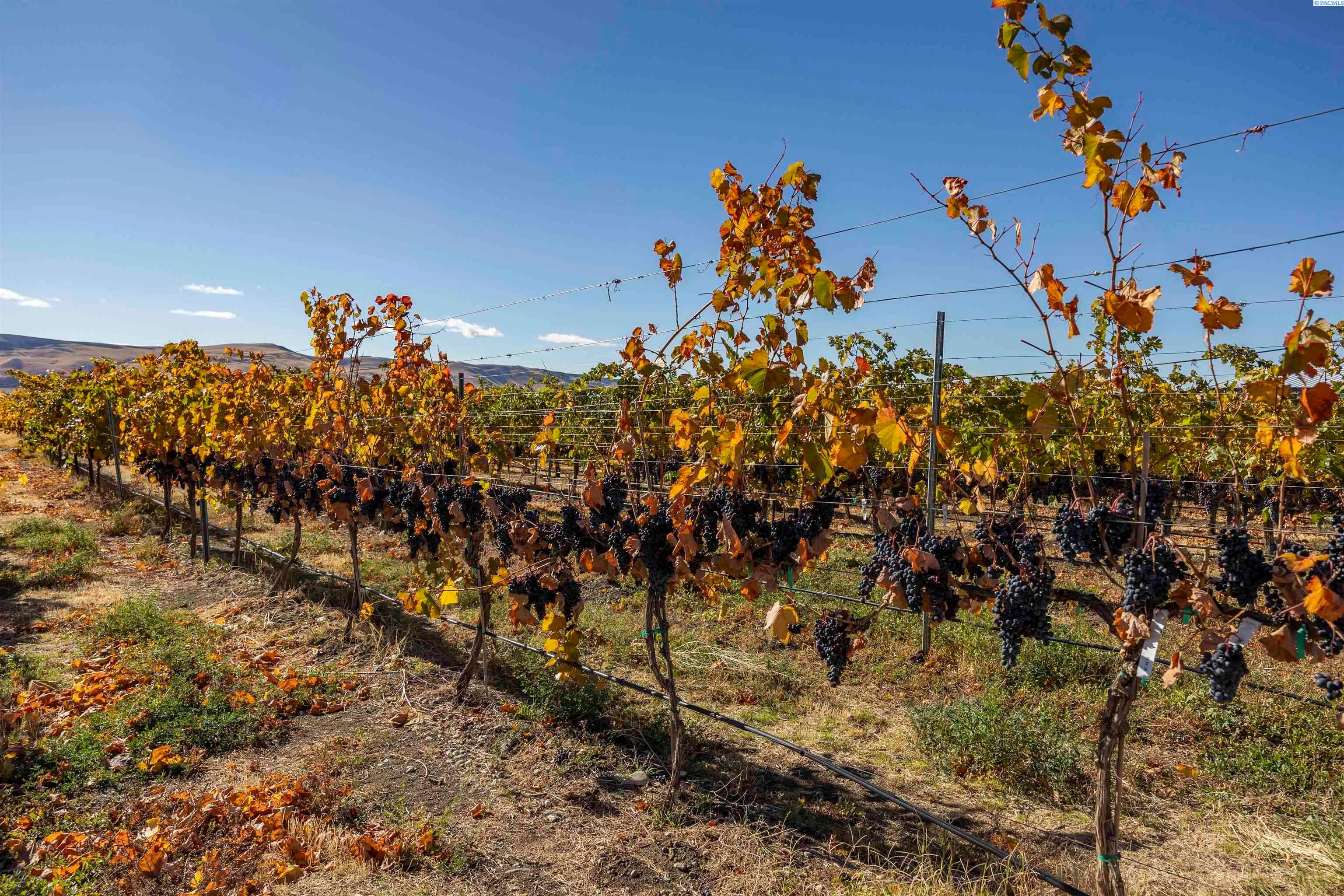 Benton City, Washington, 99320, United States, 3 Bedrooms Bedrooms, ,2 BathroomsBathrooms,Residential,For Sale,1992566