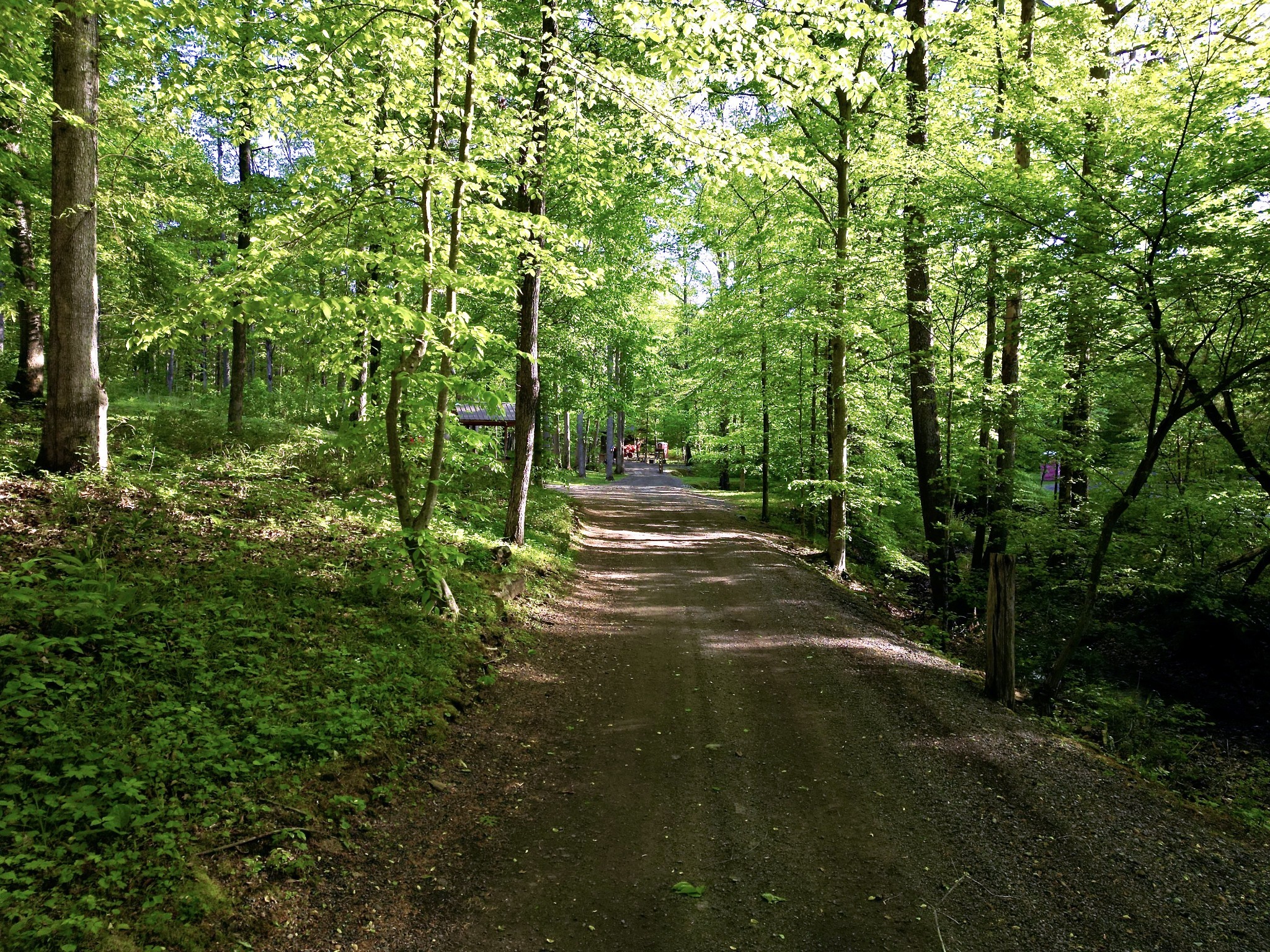  3975 Jarman Hollow Rd, Palmyra, TN, 37142 - 物件實景