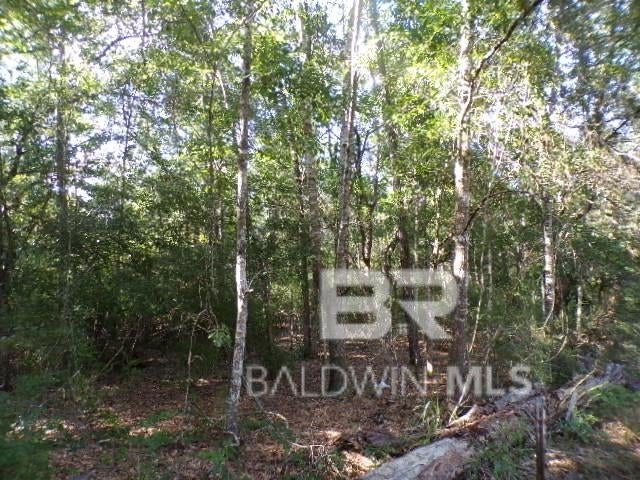 Foley, Alabama, 36535, United States, 3 Bedrooms Bedrooms, ,2 BathroomsBathrooms,Residential,For Sale,1890836