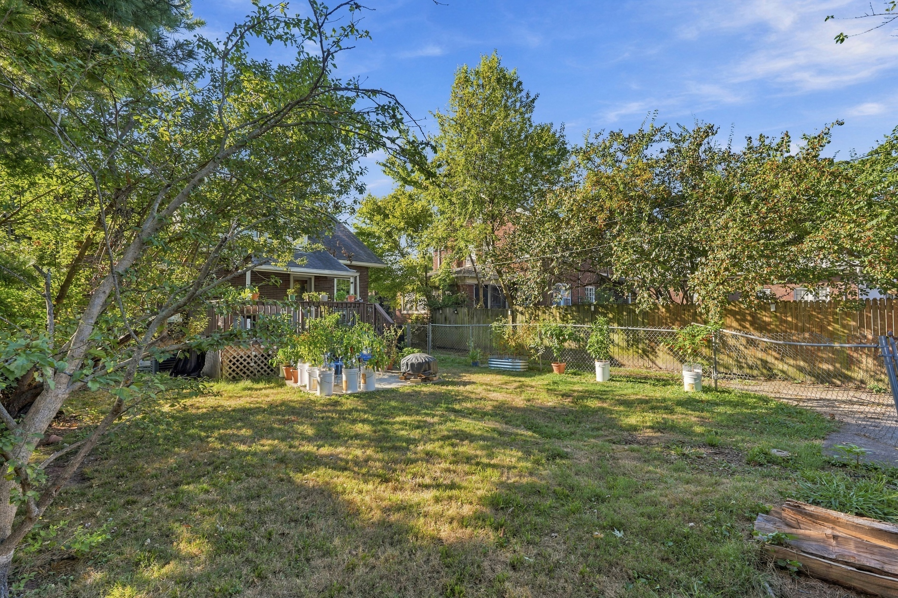  1855 Harvard Drive, Louisville, KY 40205 - 物件實景
