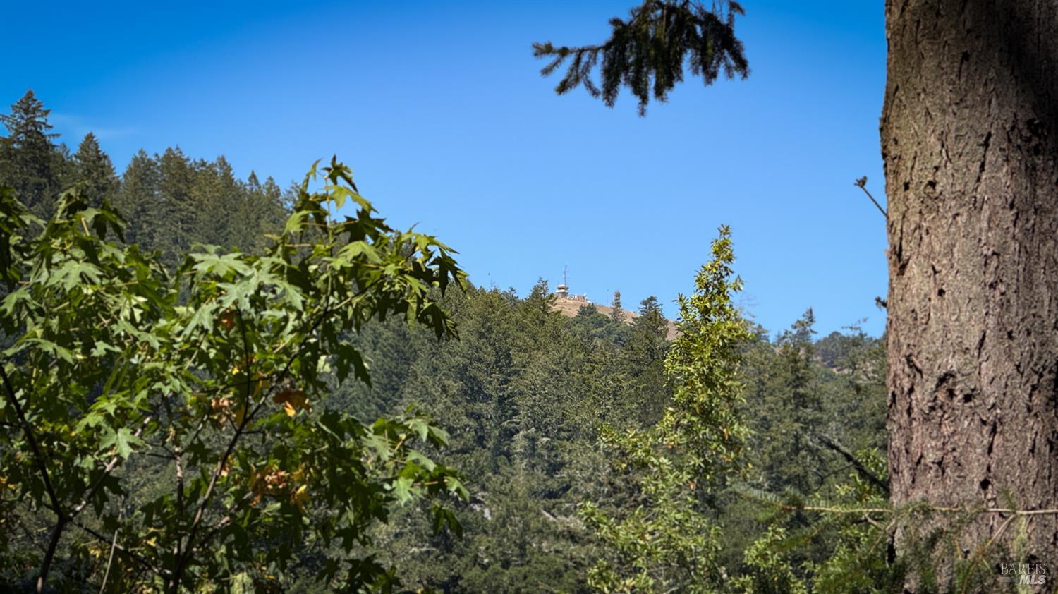 Lagunitas, California, 94938, United States, 2 Bedrooms Bedrooms, ,1 BathroomBathrooms,Residential,For Sale,1939923