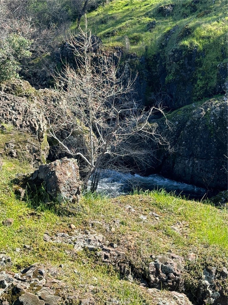 Chico, California, 95928, United States, ,Land,For Sale,1974273