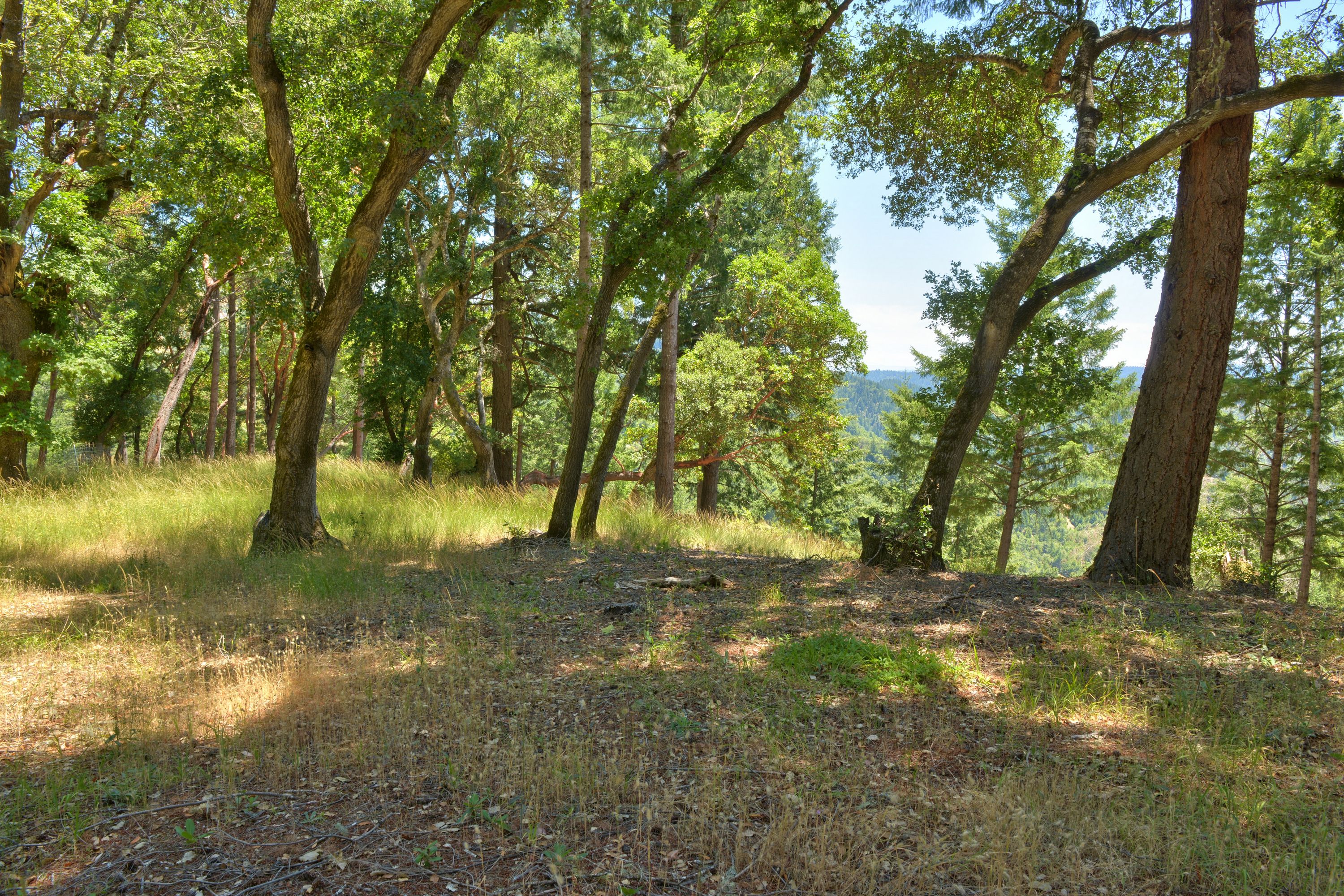  18900 Armstrong Woods Road, Guerneville, CA 95446 - 物件實景