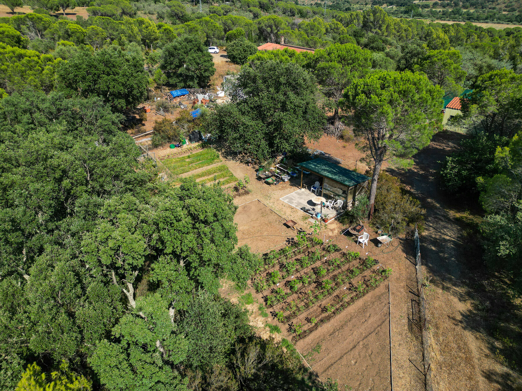  Charming rural estate with views of the Bay of Roses - 物件實景
