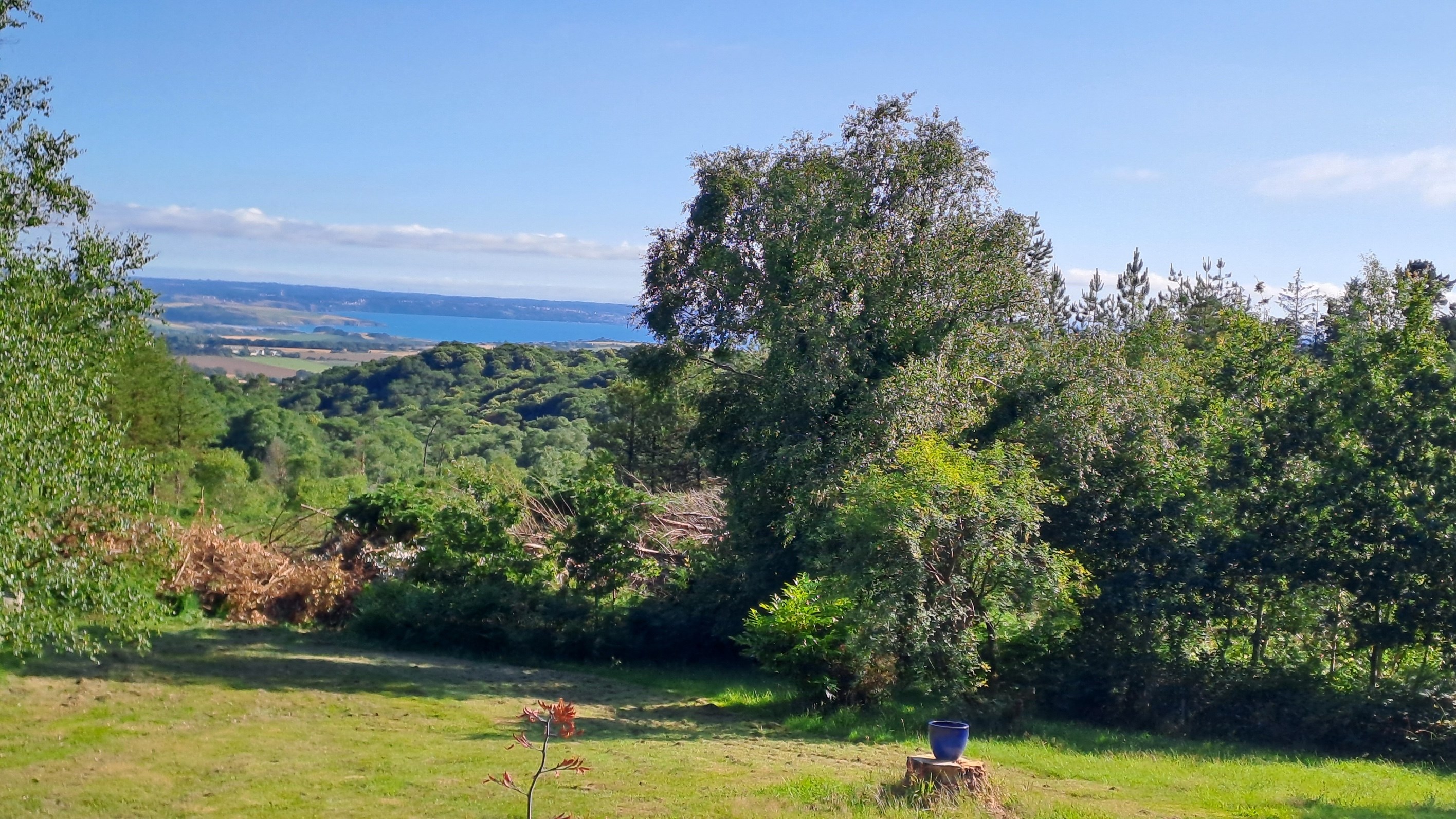  Property with sea views overlooking Douarnenez Bay, 8-hectare estate - 物件實景