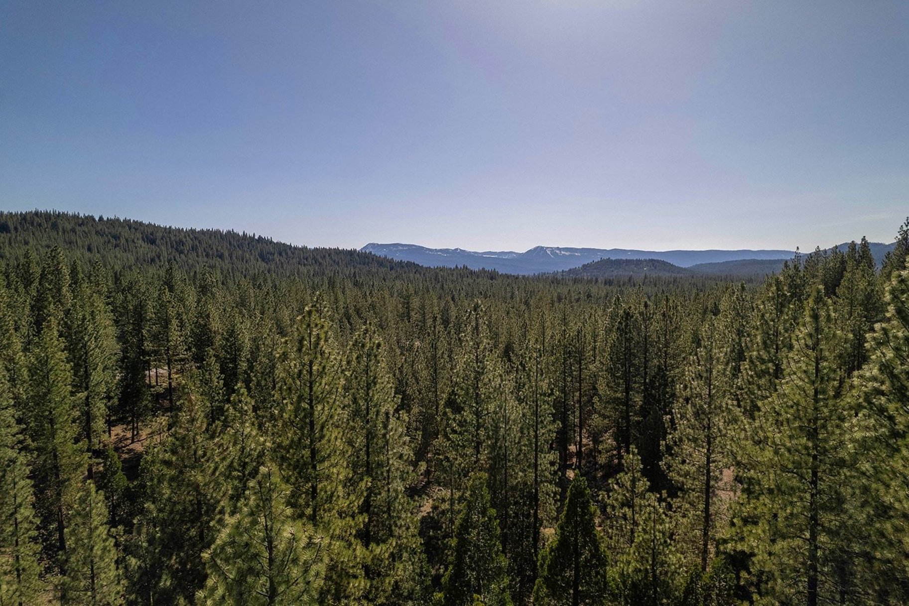  2.69 Private Acres in Nakoma with Stunning Eureka Peak Views - 物件實景