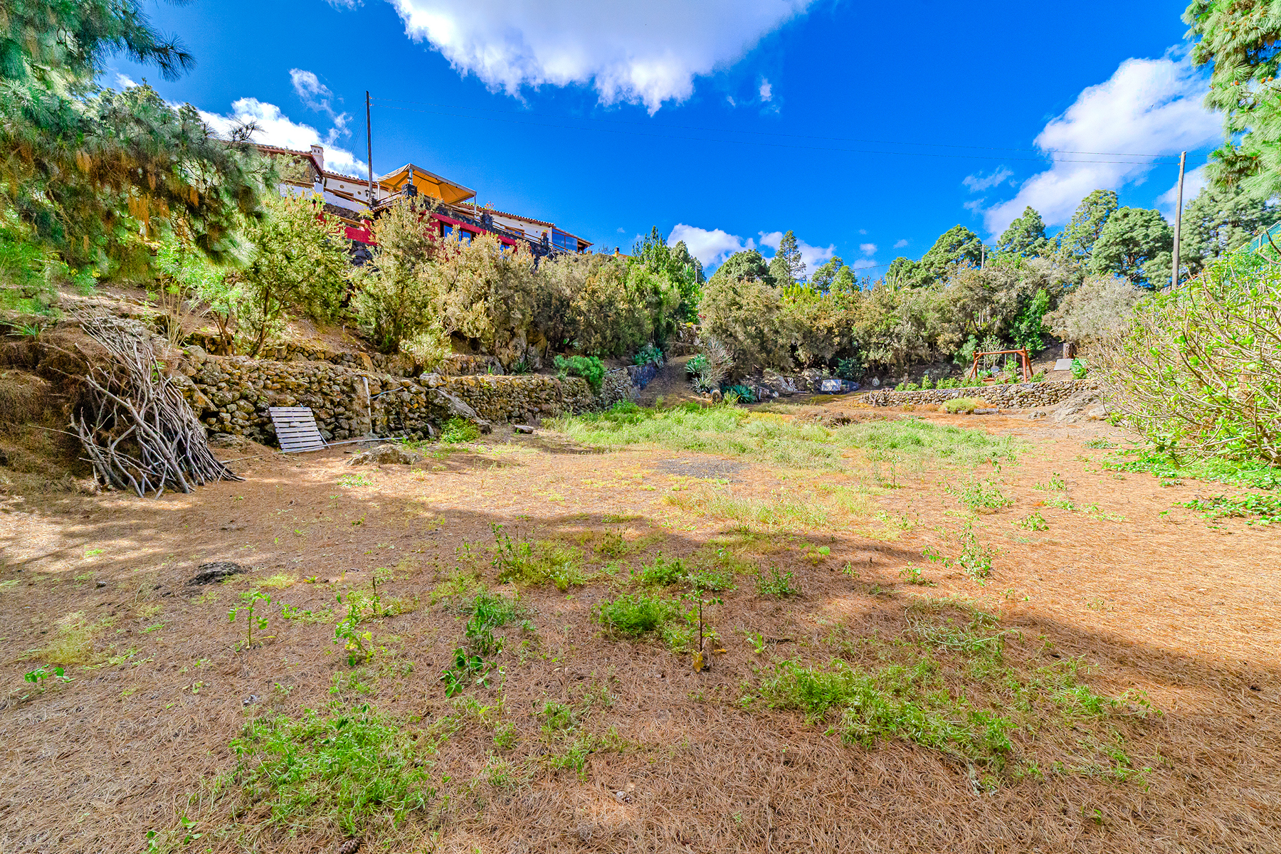  Rustic farmhouse in Icod de los Vinos, Tenerife - 物件實景