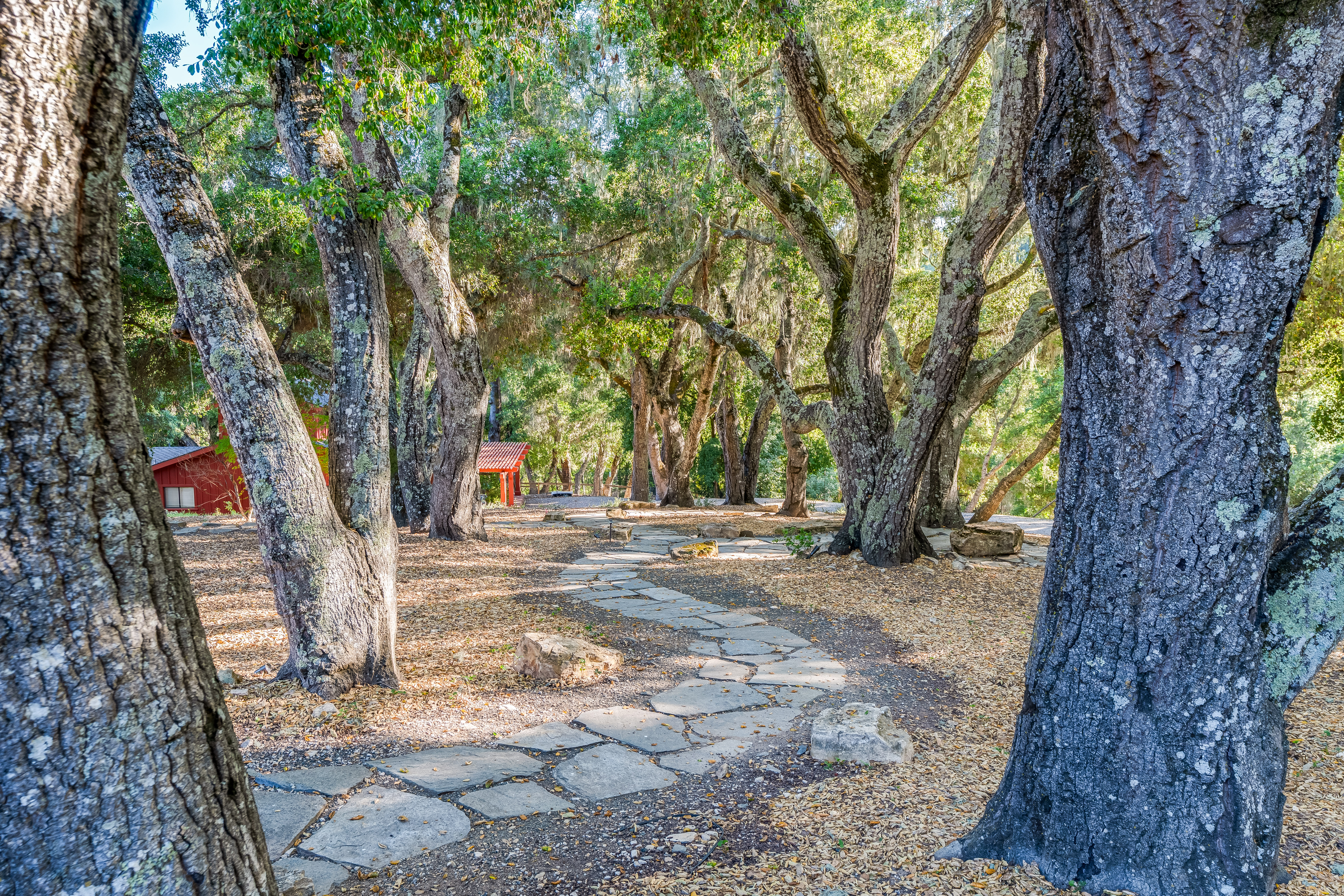  Hidden Valley Ranch Estate - 物件實景