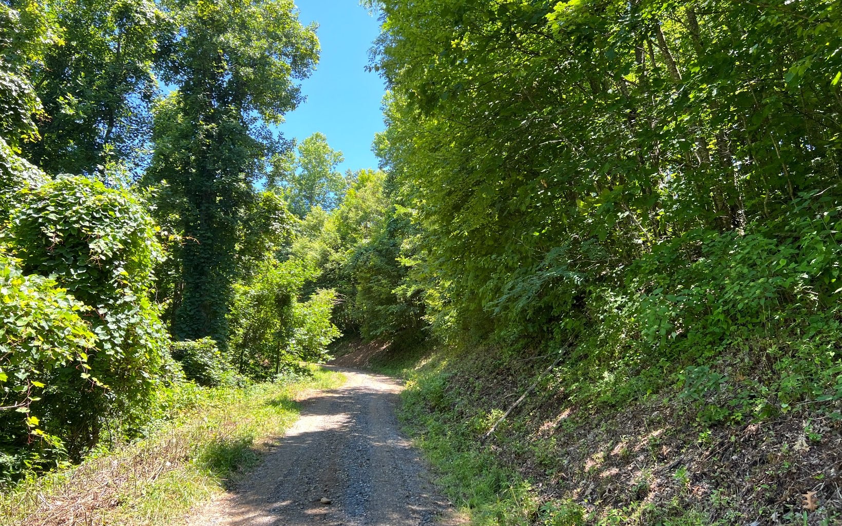 101ac Lori'S Mountain, Hayesville, North Carolina, 28904, United States, ,Residential,For Sale,101ac Lori'S Mountain,1304629