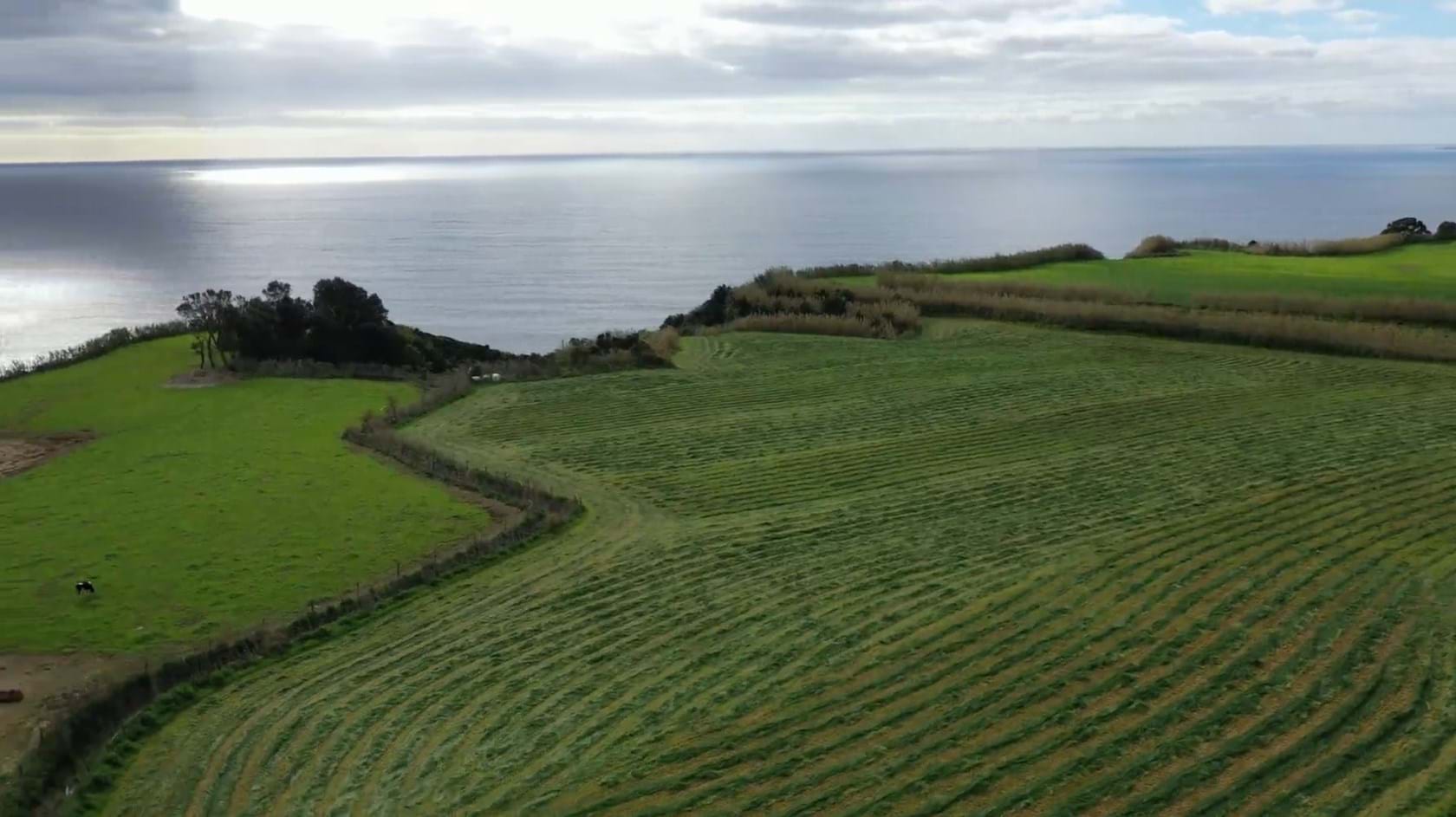 Lagoa (Açores), Ilha de São Miguel, 9560, PT, ,Residential,For Sale,1699662