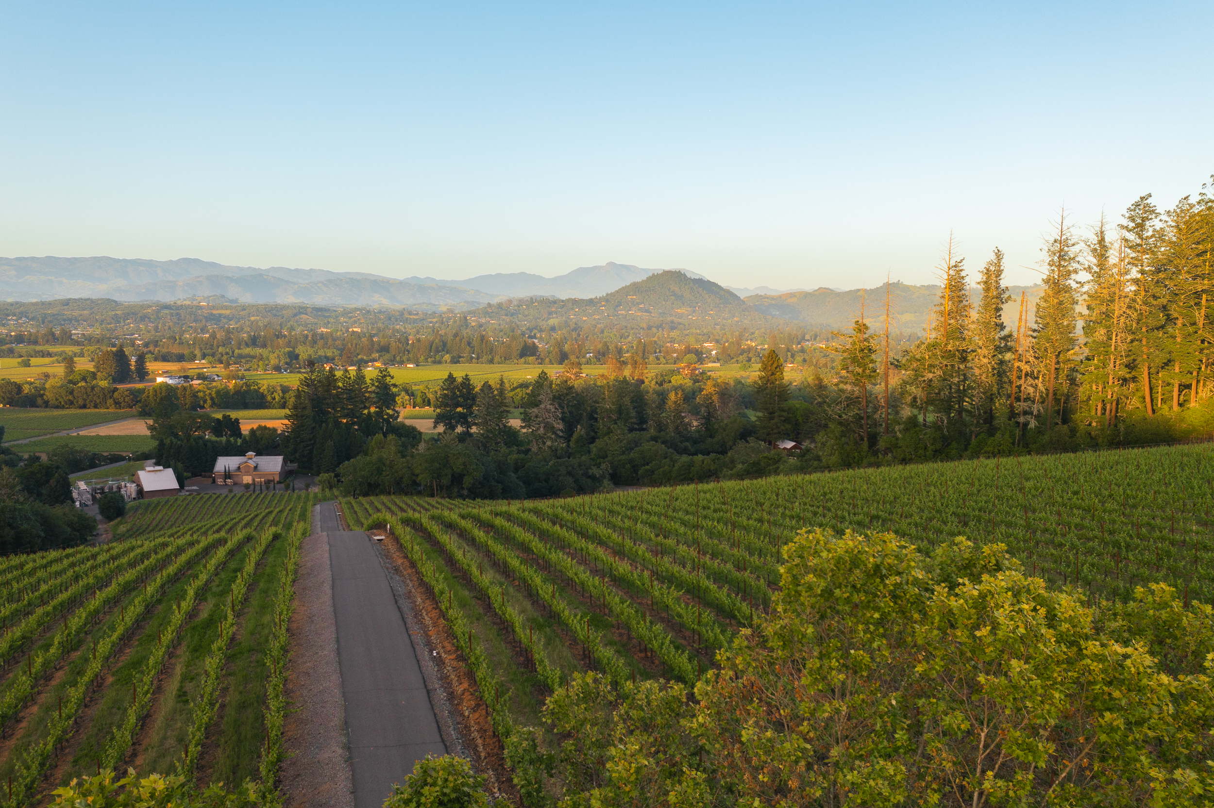  Healdsburg Architectural Estate - 物件實景
