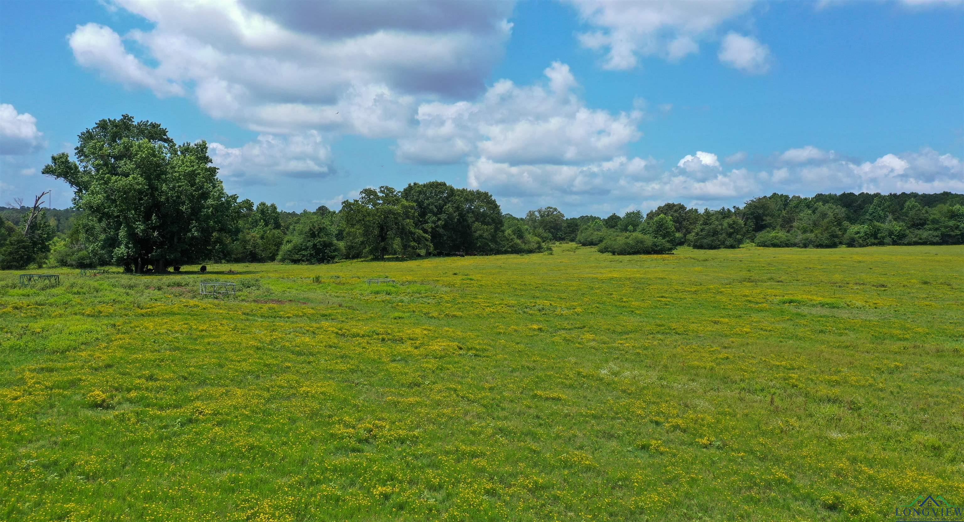 Linden, Texas, 75563, United States, ,Residential,For Sale,1809519