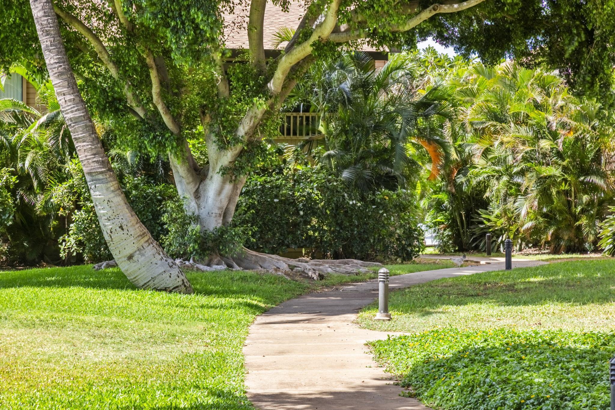 Kihei, Hawaii, 96753, United States, 3 Bedrooms Bedrooms, ,2 BathroomsBathrooms,Residential,For Sale,1901251