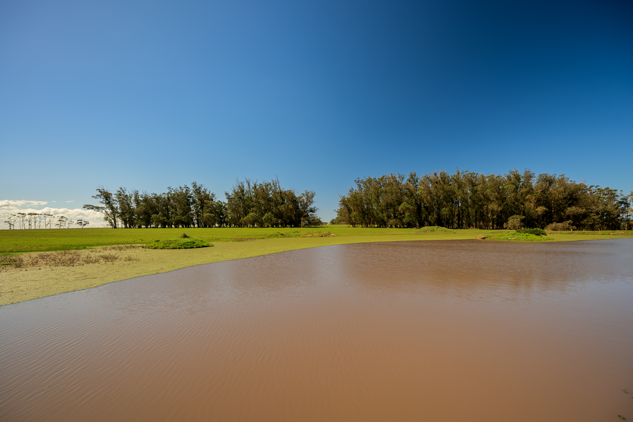  La Virazón  597-Hectare Oceanfront Estate in Rocha, Uruguay - 物件實景