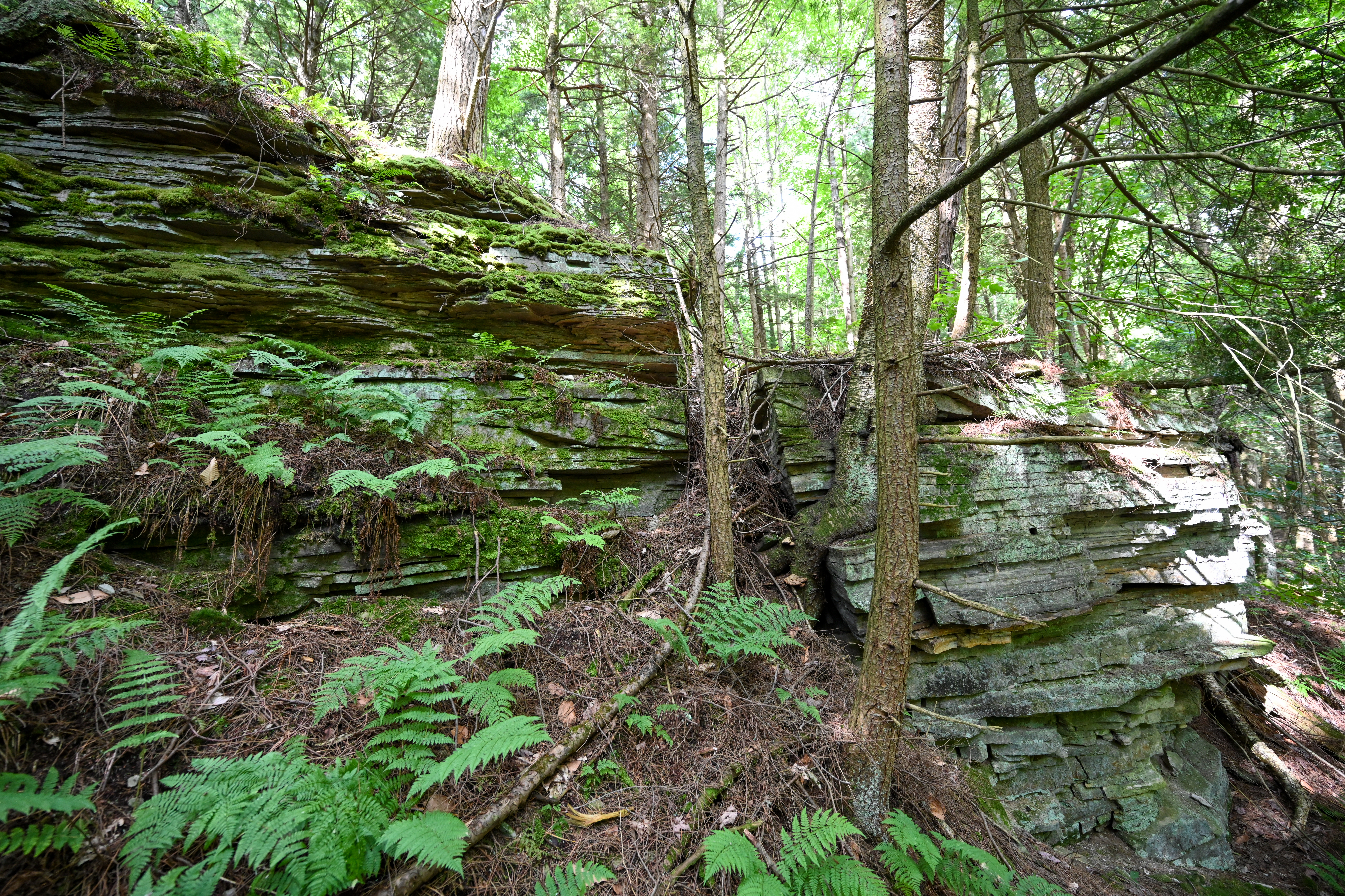  661 Chasm Road, Chateaugay, NY, 12920 - 物件實景