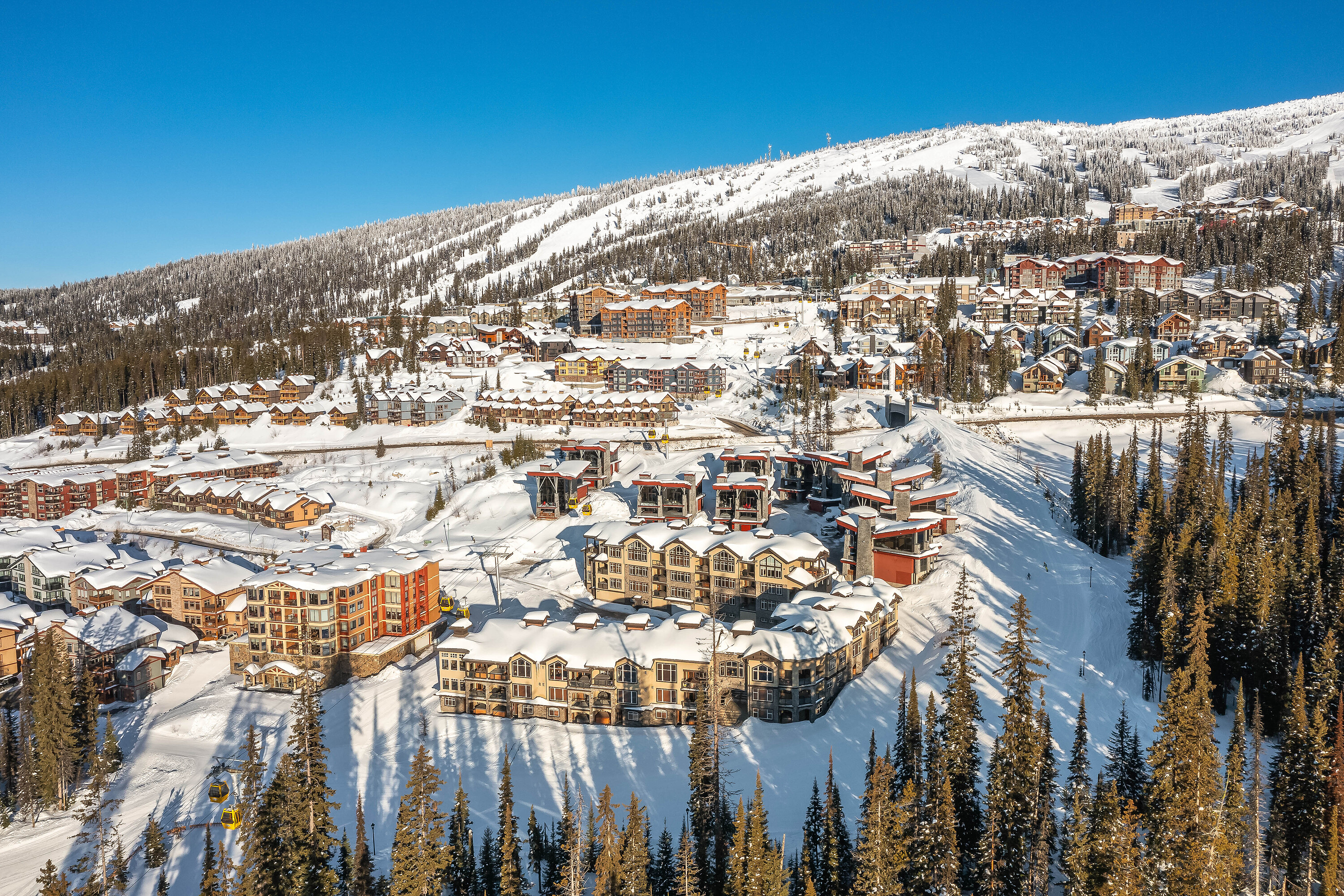  The Timbers at Big White - 物件實景