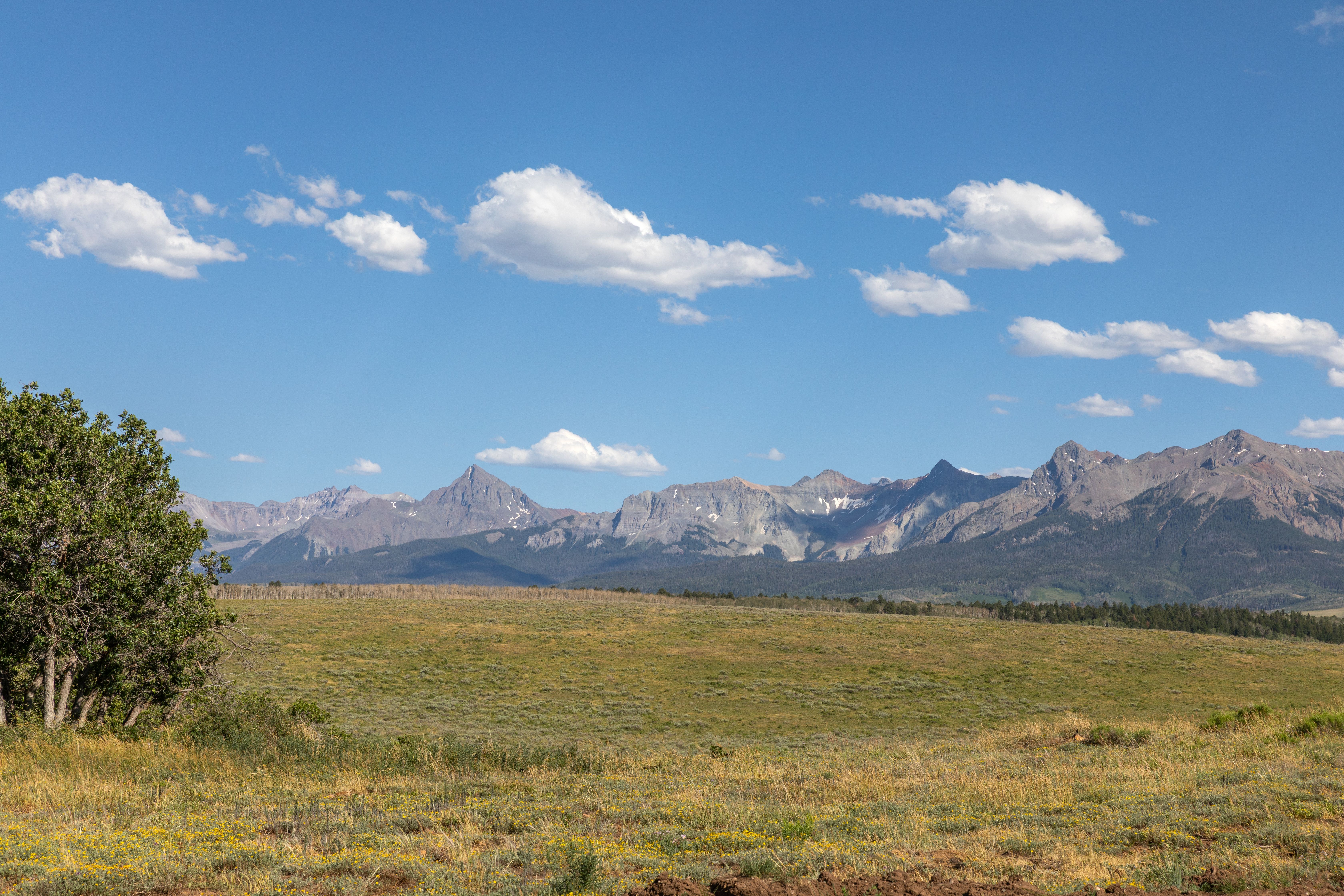  141-Acre Legacy Ranch Estate near Telluride - 物件實景