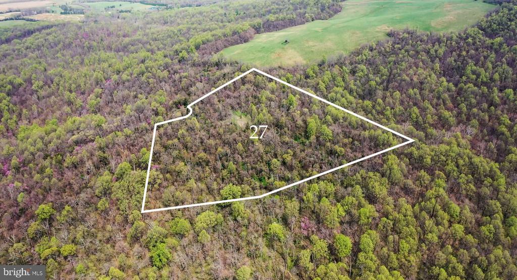 Rapidan, Virginia, 22733, United States, ,Land,For Sale,1975571