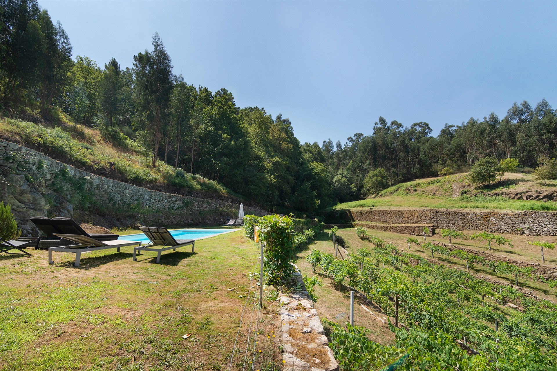  Farm, 5 bedrooms, for Sale - 物件實景